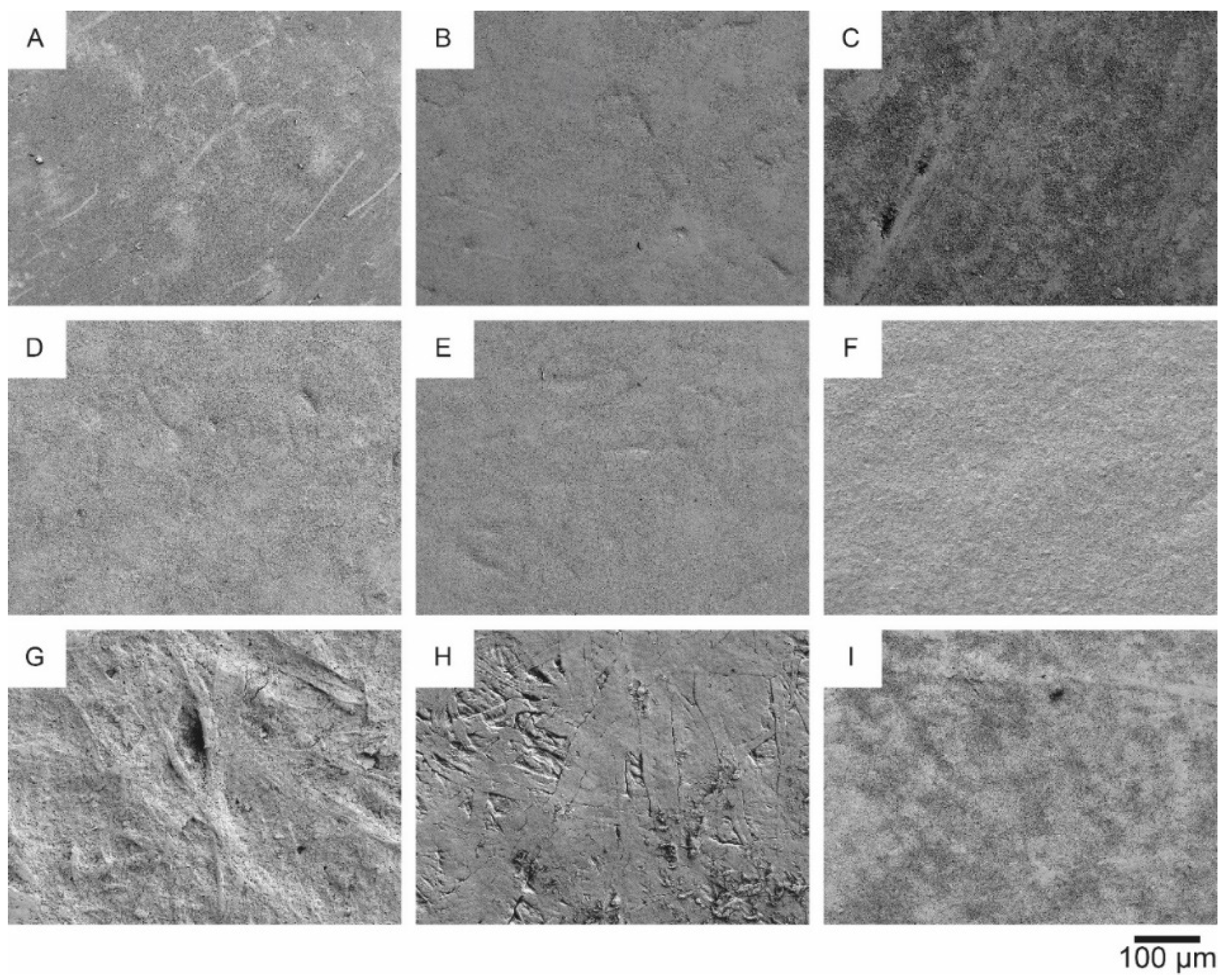 Materials 14 05500 g009