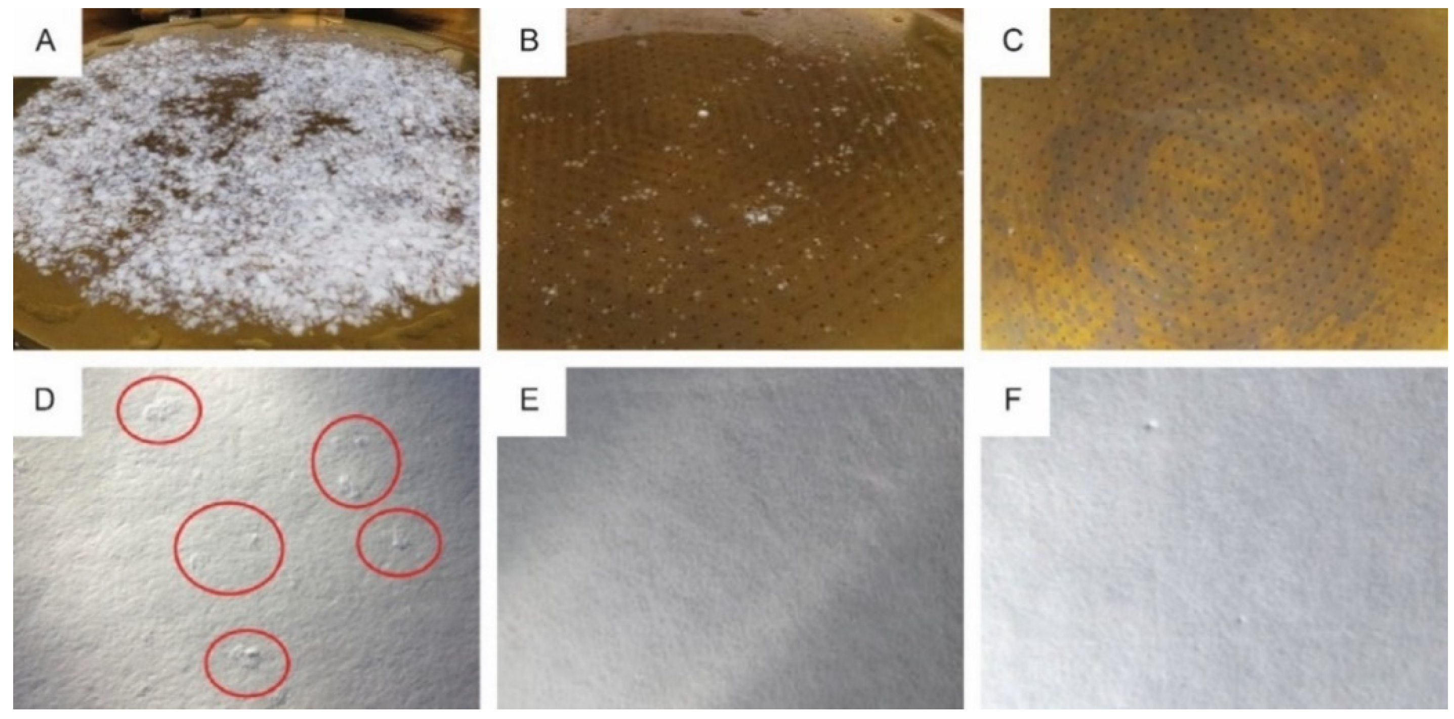 Materials 14 05500 g012