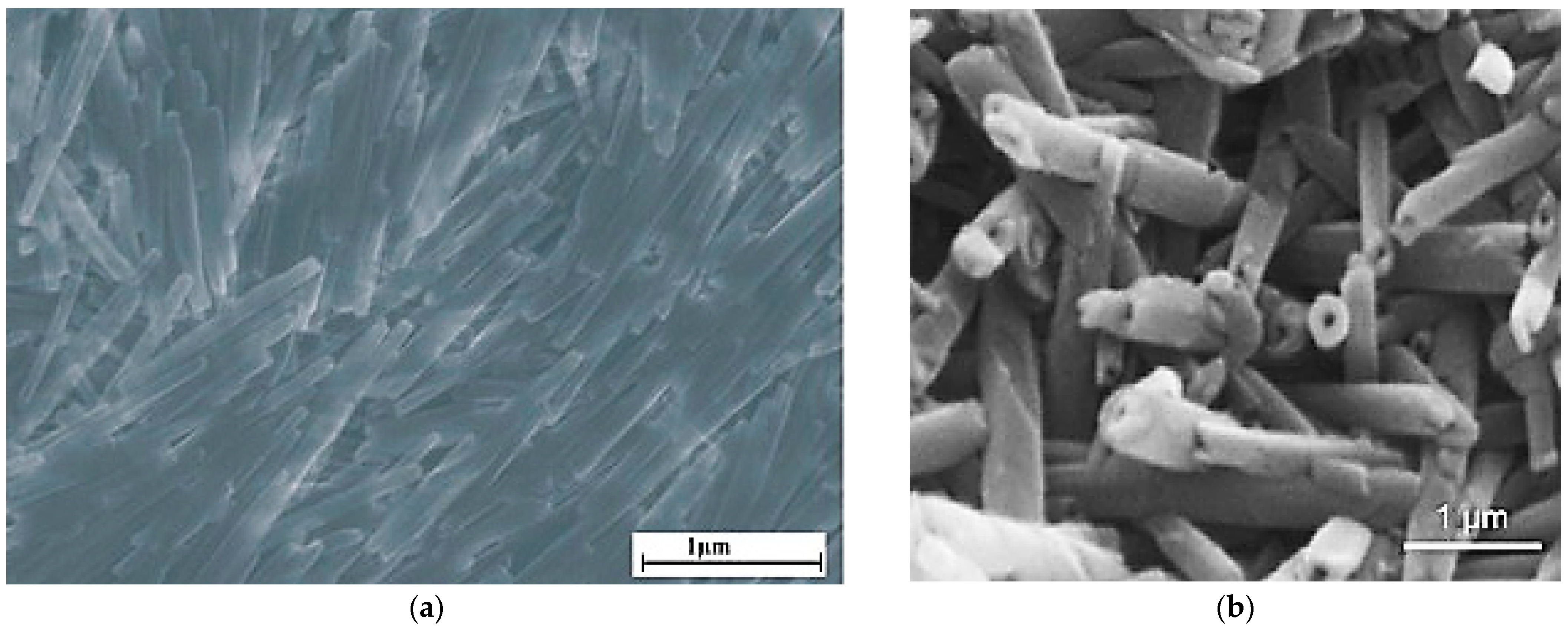 Materials 14 05501 g002