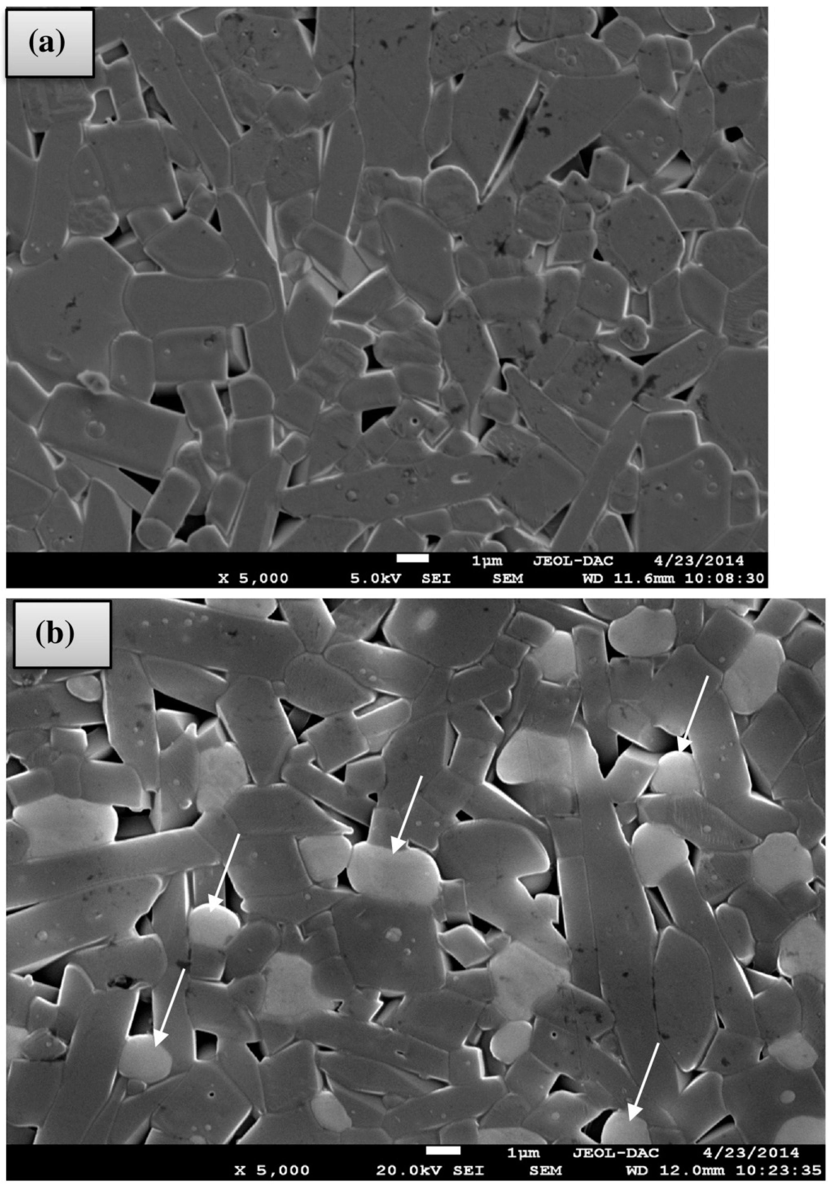 Materials 14 05501 g006