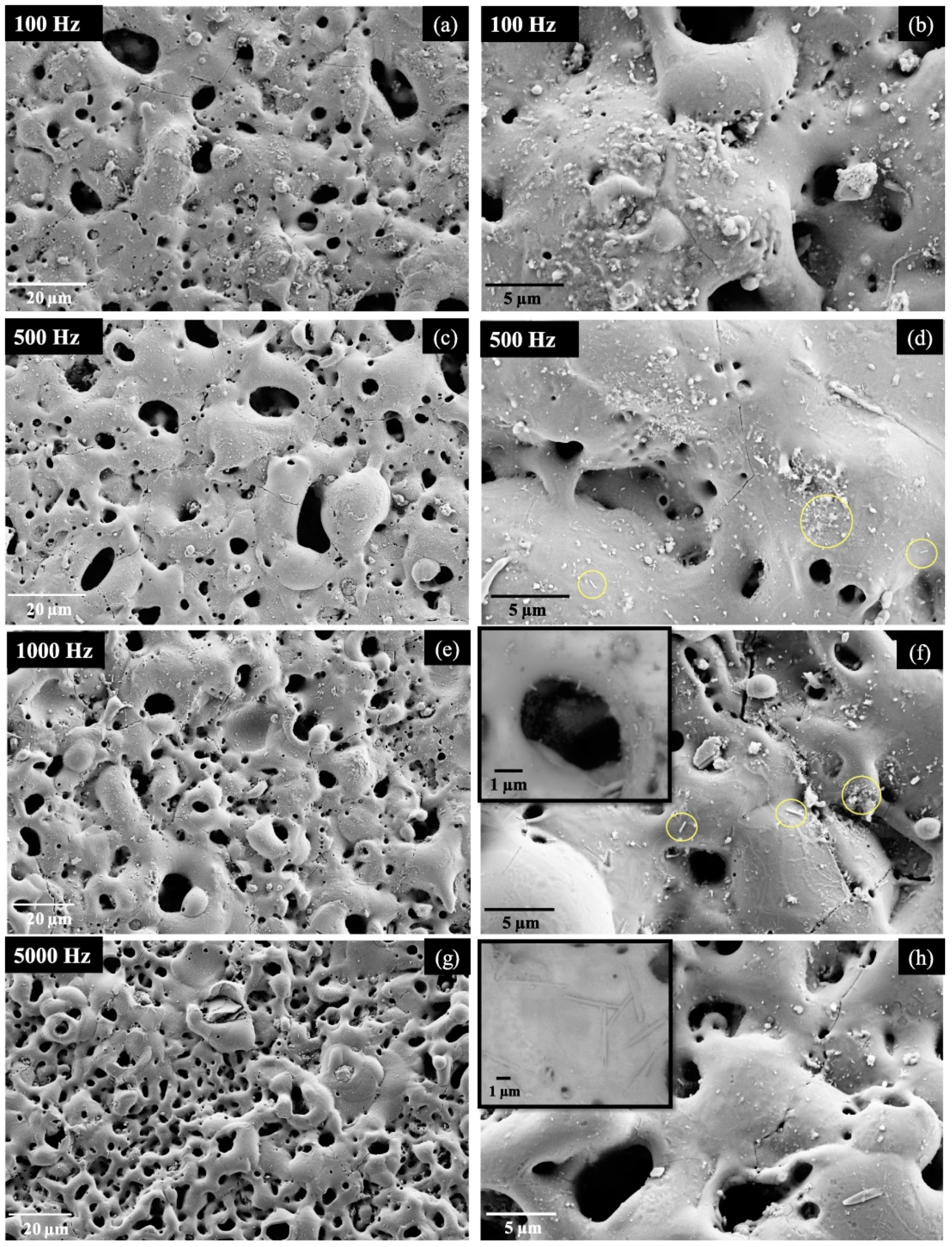 Materials 14 05501 g009