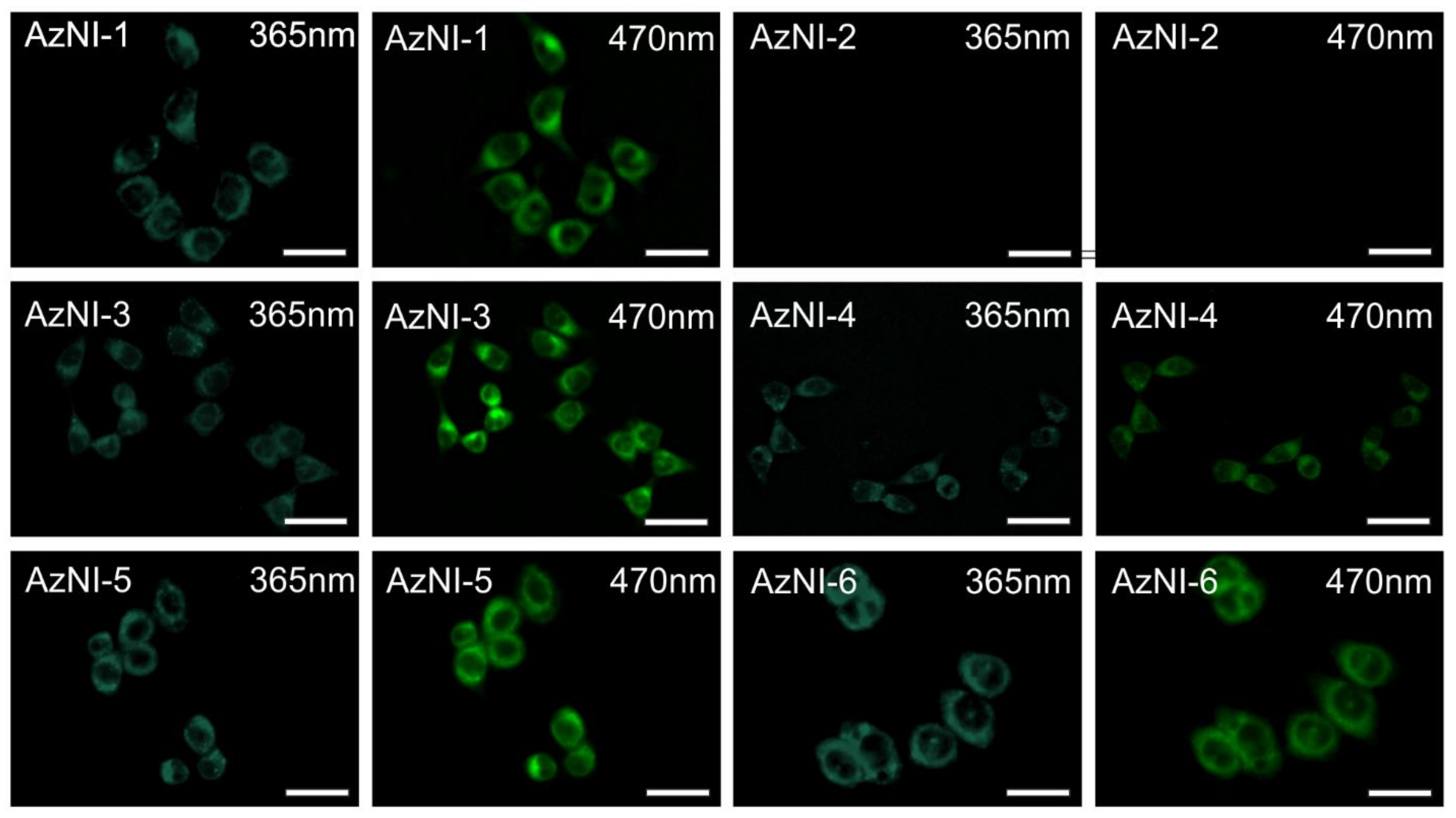 Materials 14 05504 g008