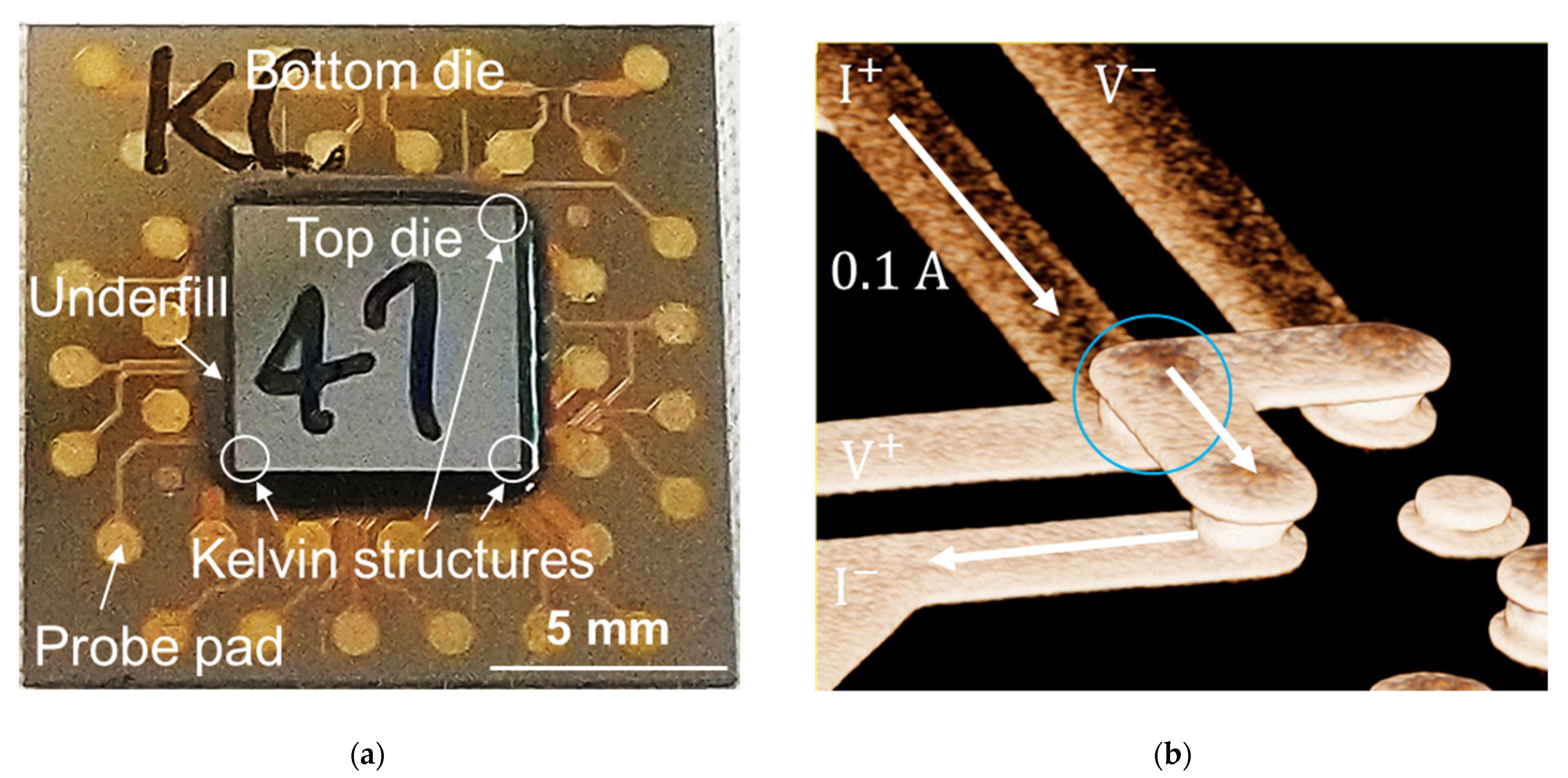 Materials 14 05522 g001