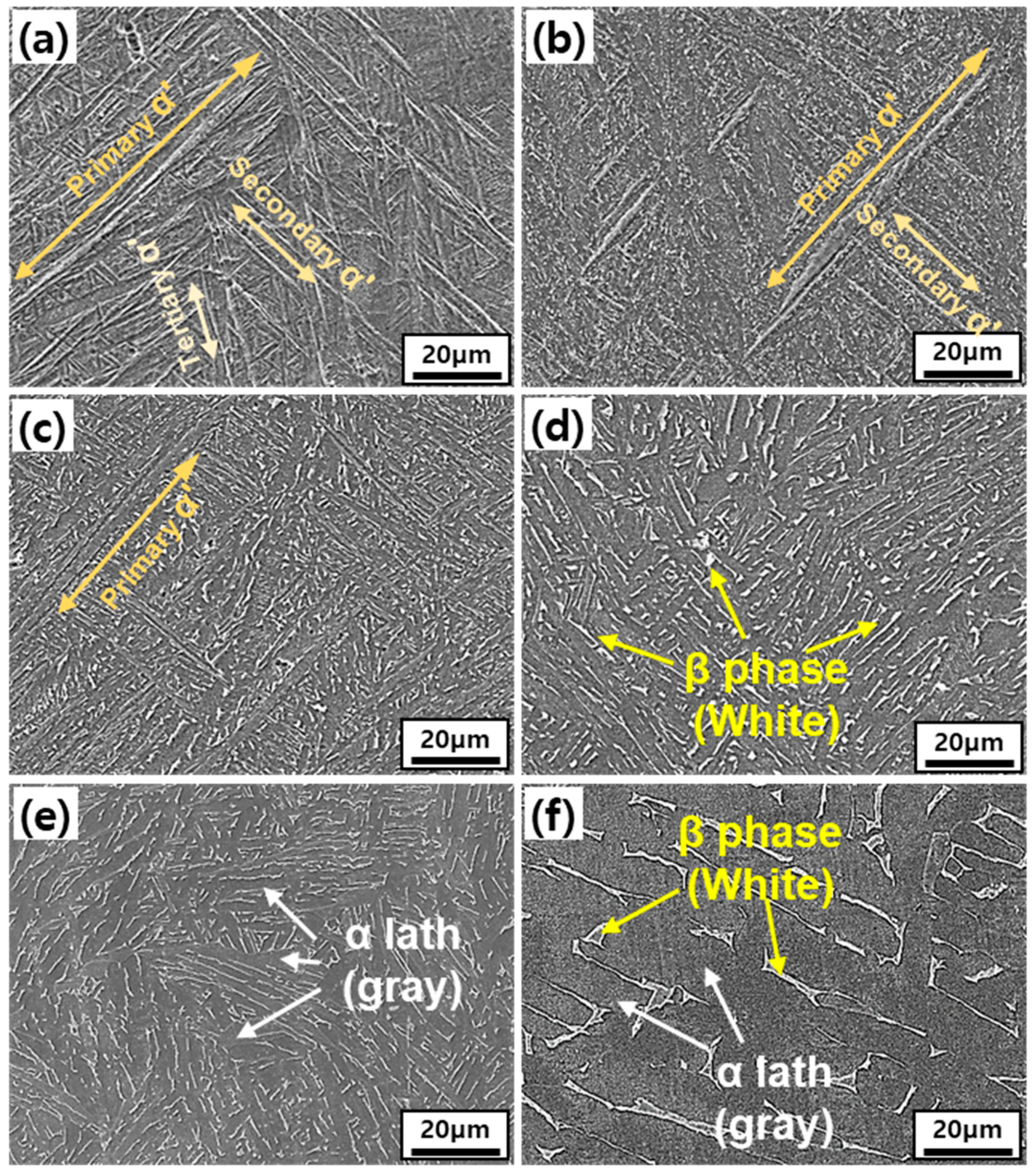 Materials 14 05524 g004