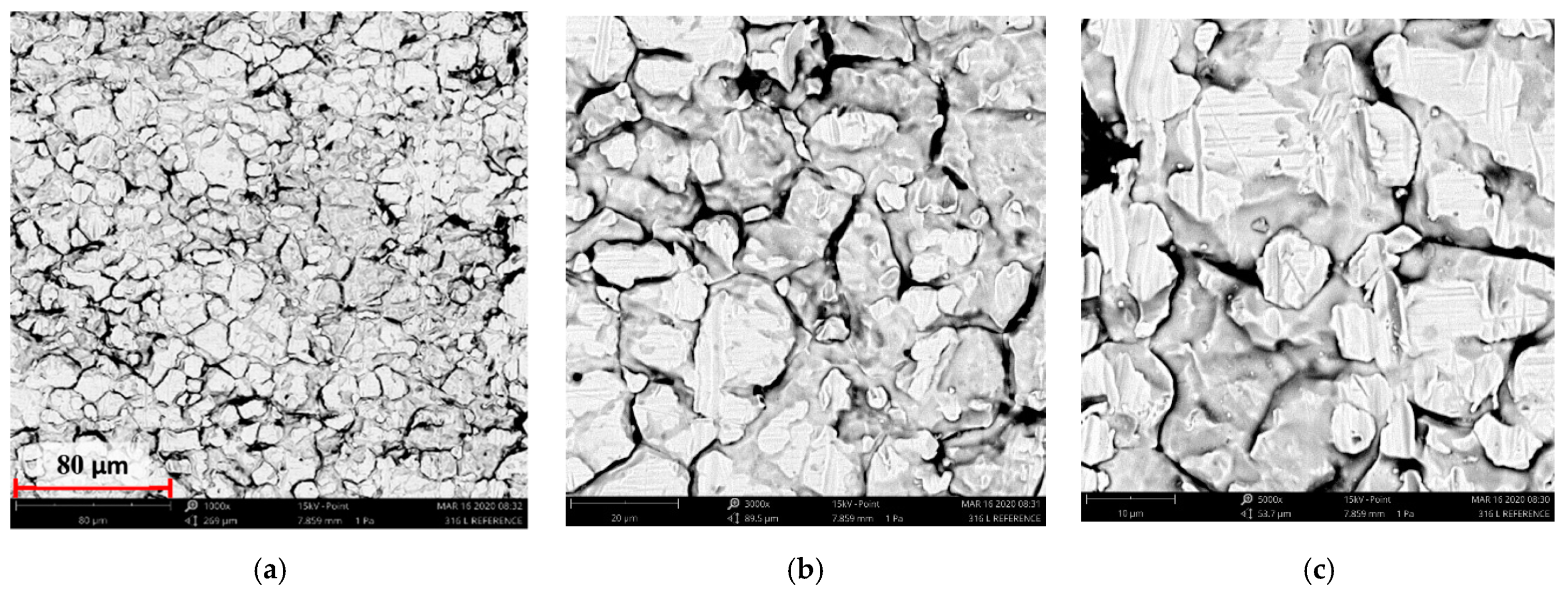 Materials 14 05525 g004 550
