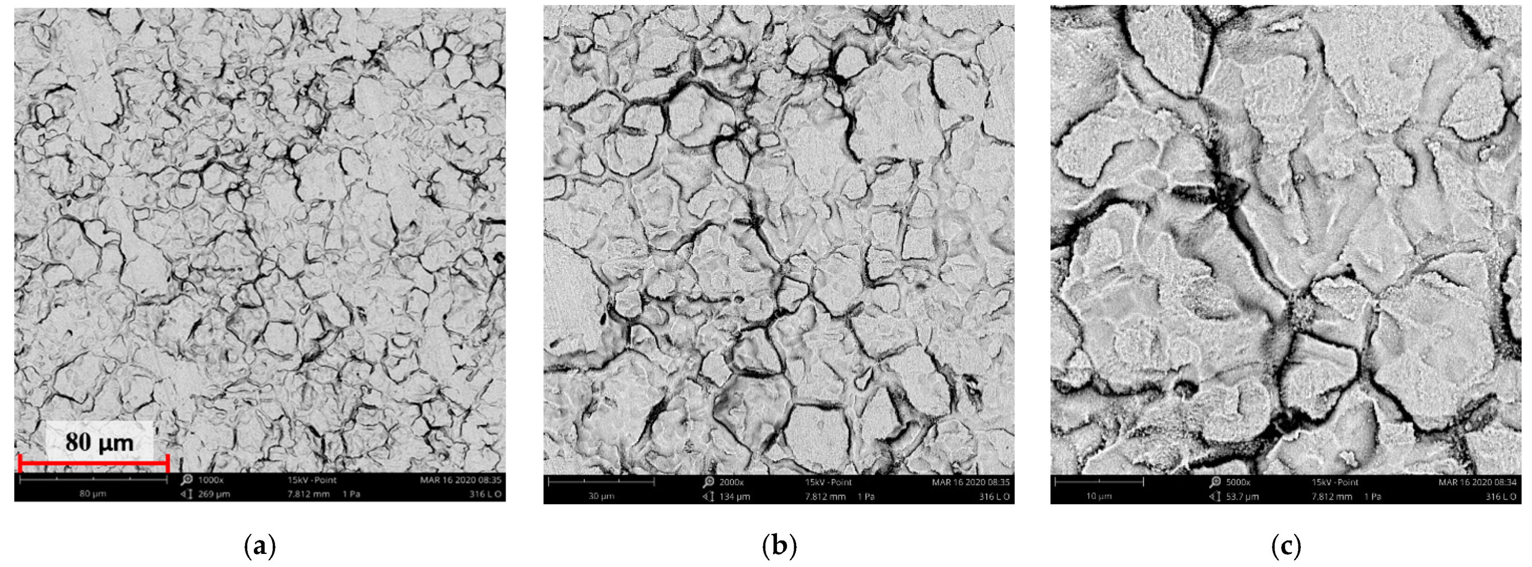 Materials 14 05525 g006 550