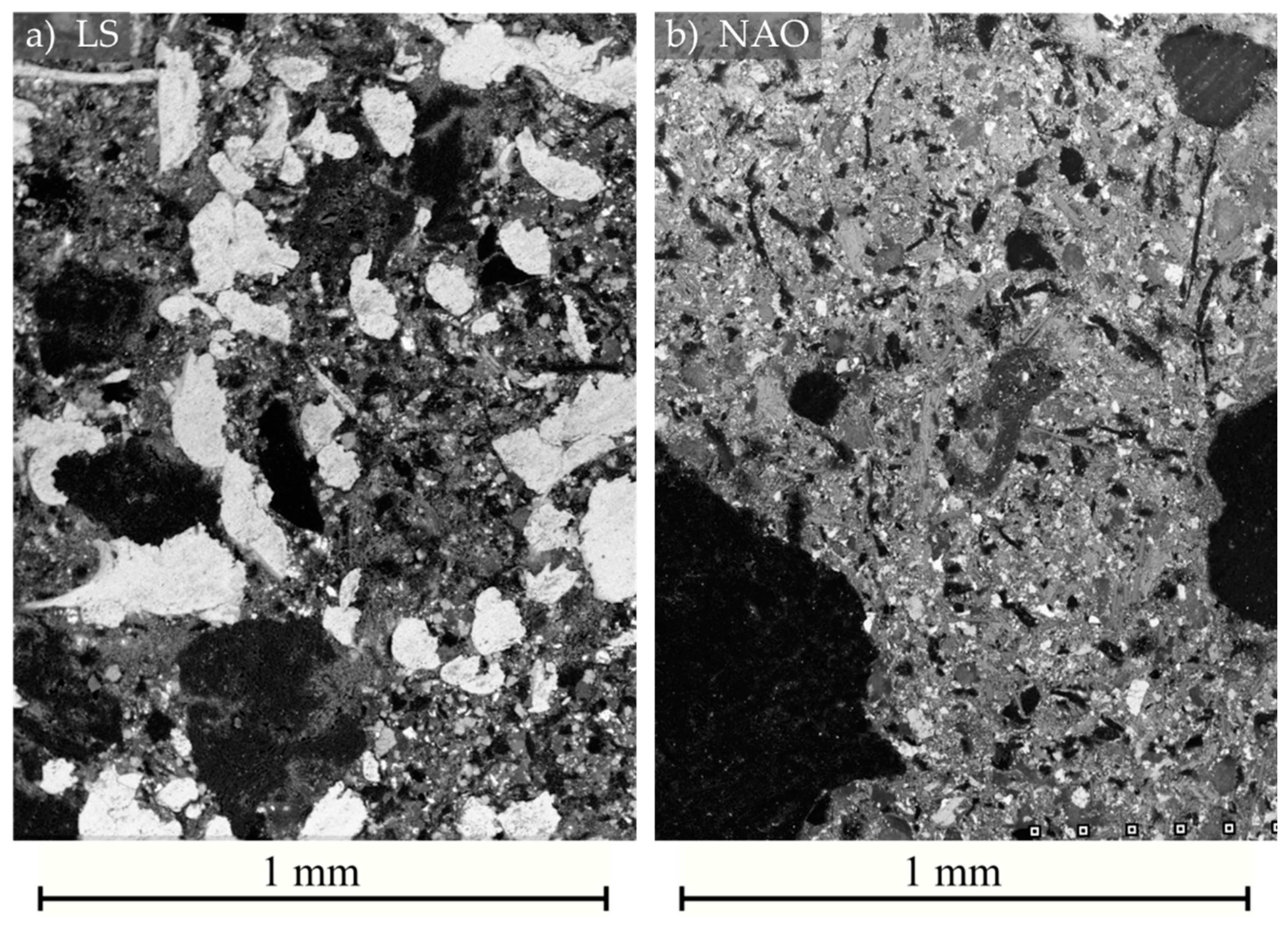 Materials 14 05531 g002 550