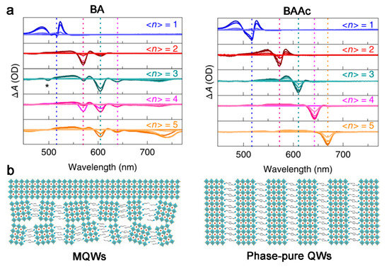 2D Organic–Inorganic Hybrid Perovskite Quantum Well Materials and