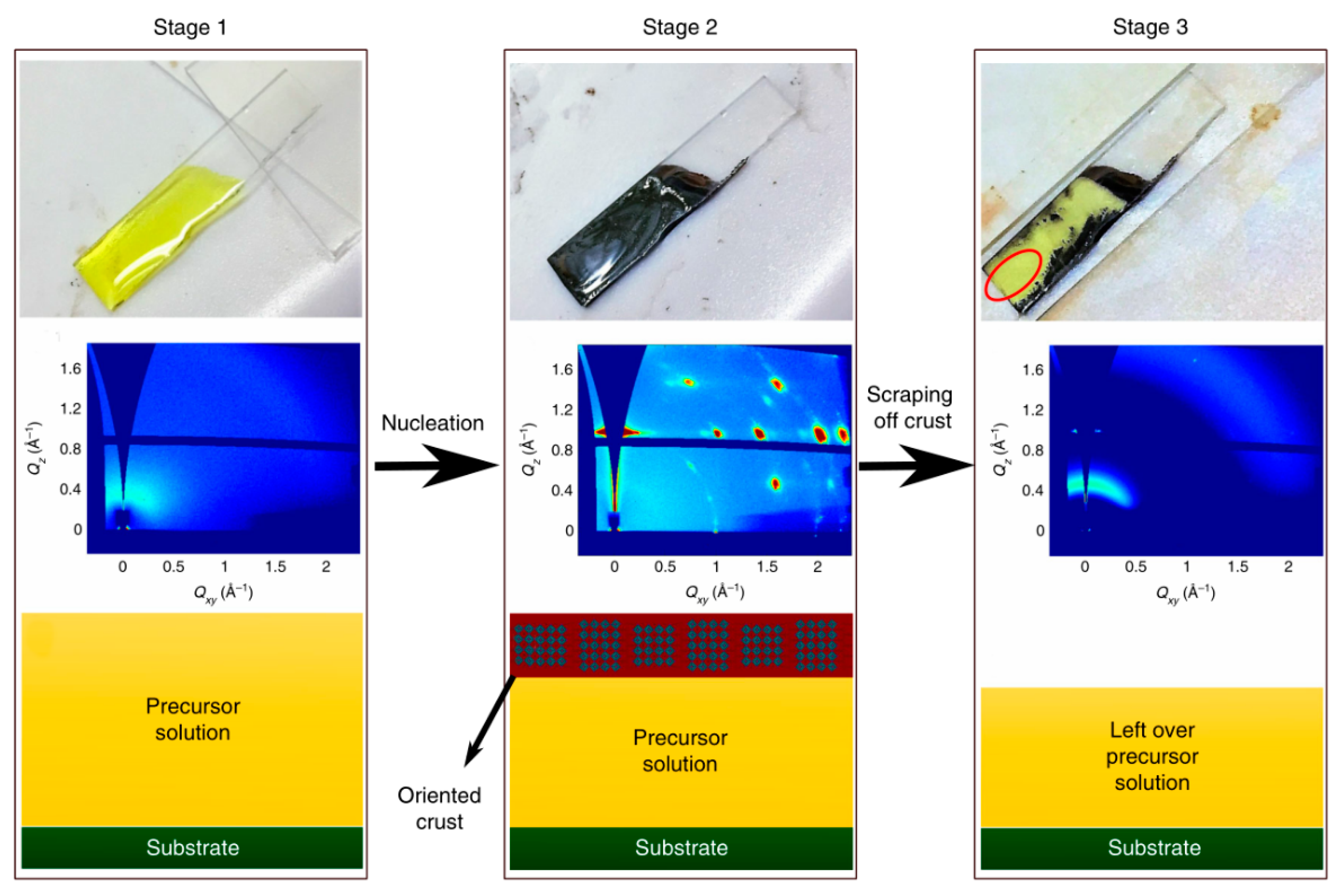 2D Organic–Inorganic Hybrid Perovskite Quantum Well Materials and