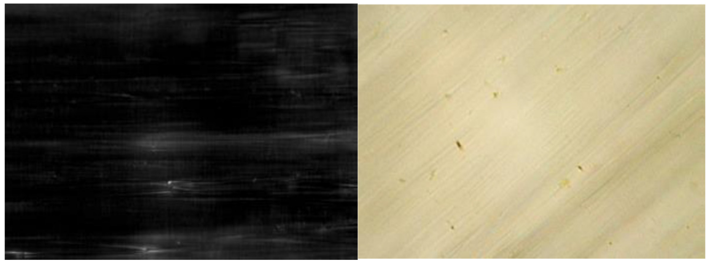 Materials 14 05540 g009 Materials 14 05540 g009