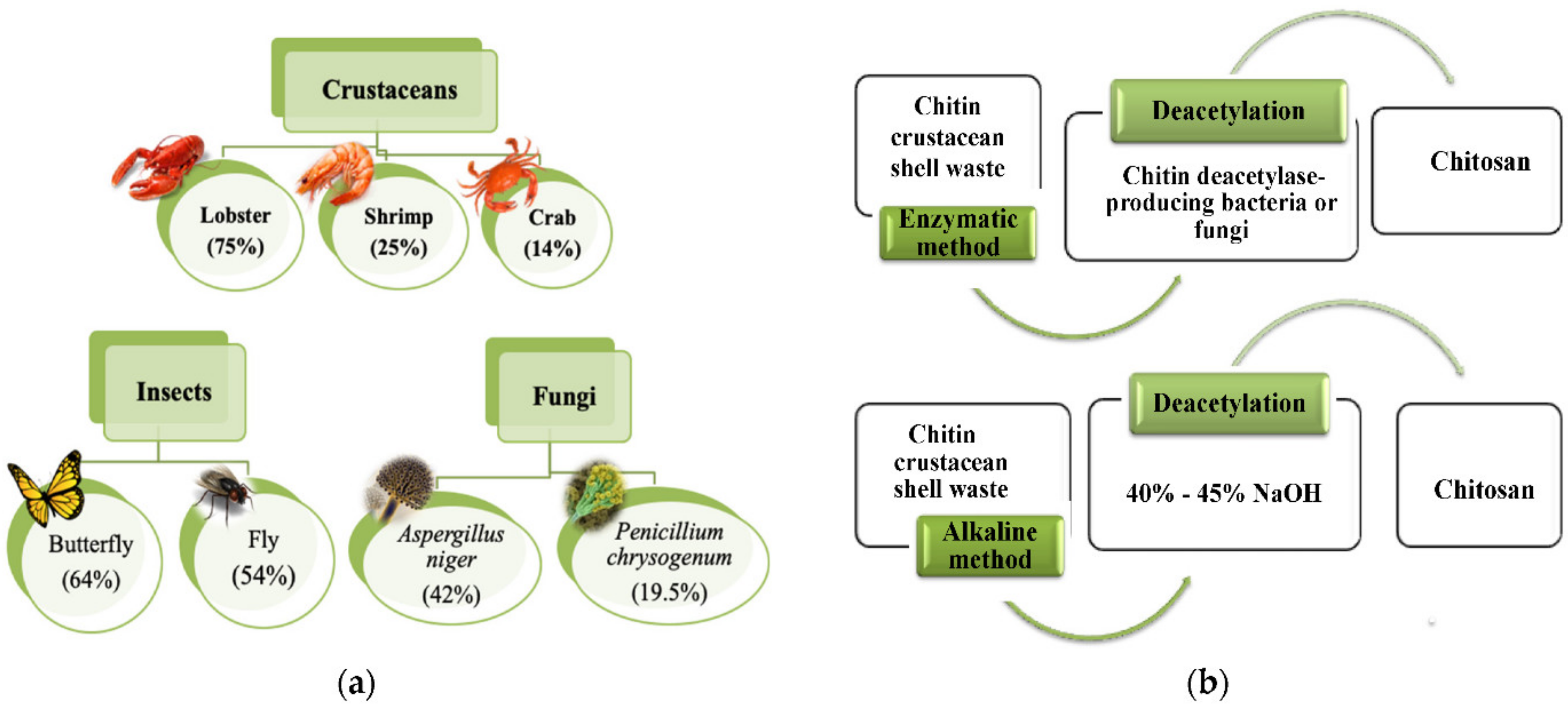 Materials 14 05549 g006 550
