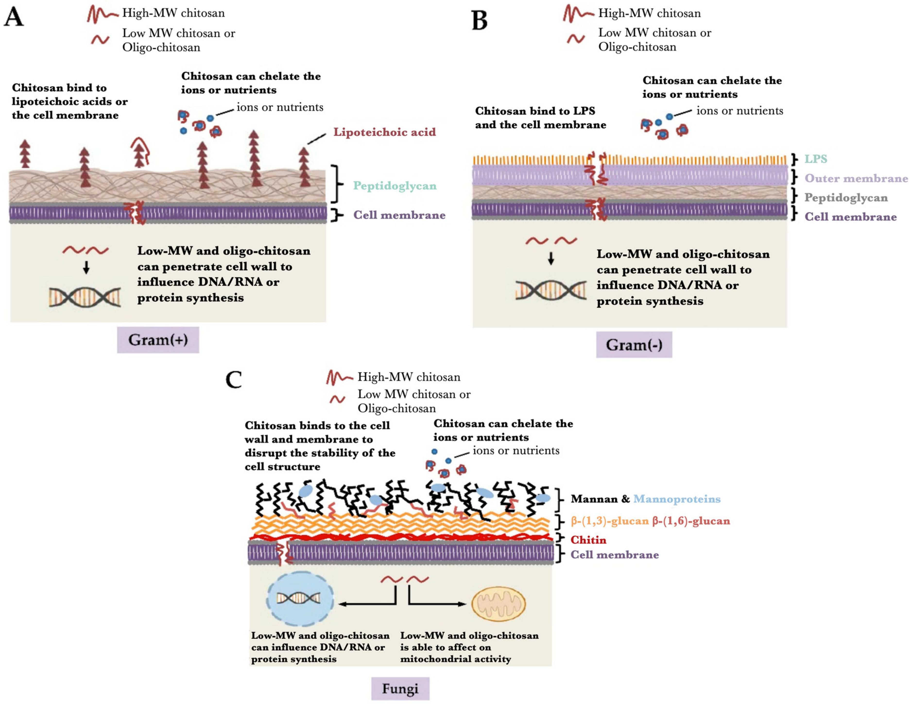 Materials 14 05549 g008 550