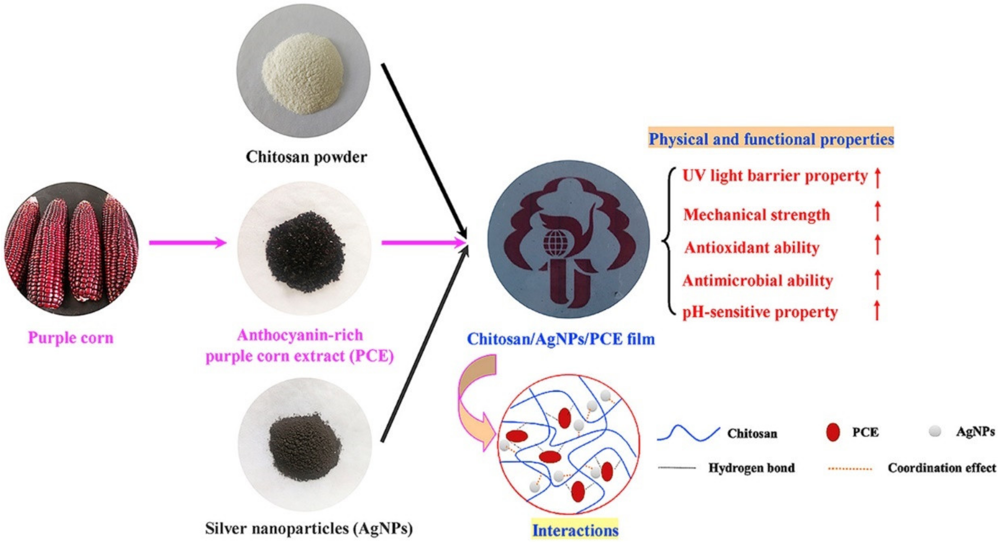 Materials 14 05549 g012 550