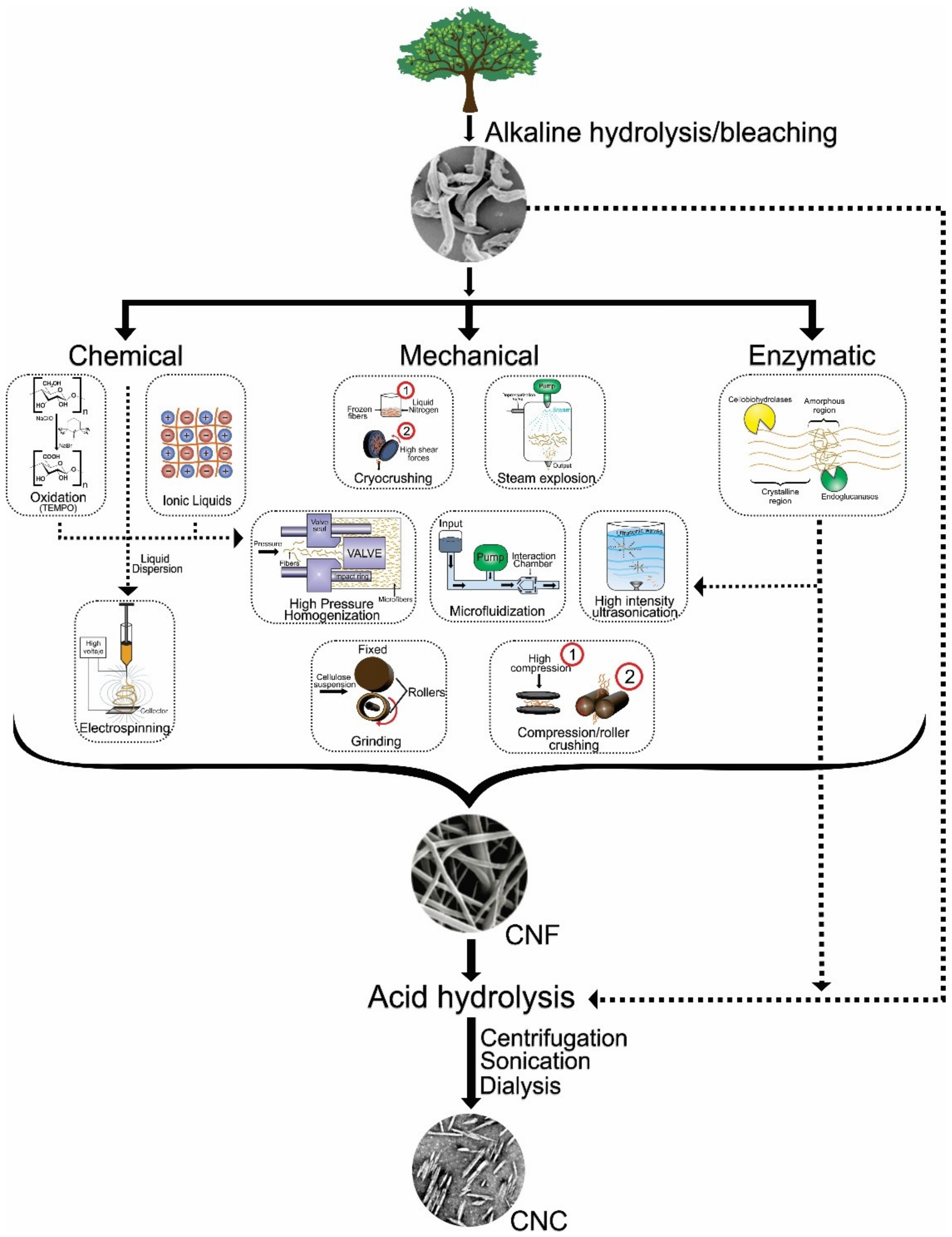 Materials 14 05549 g013 550