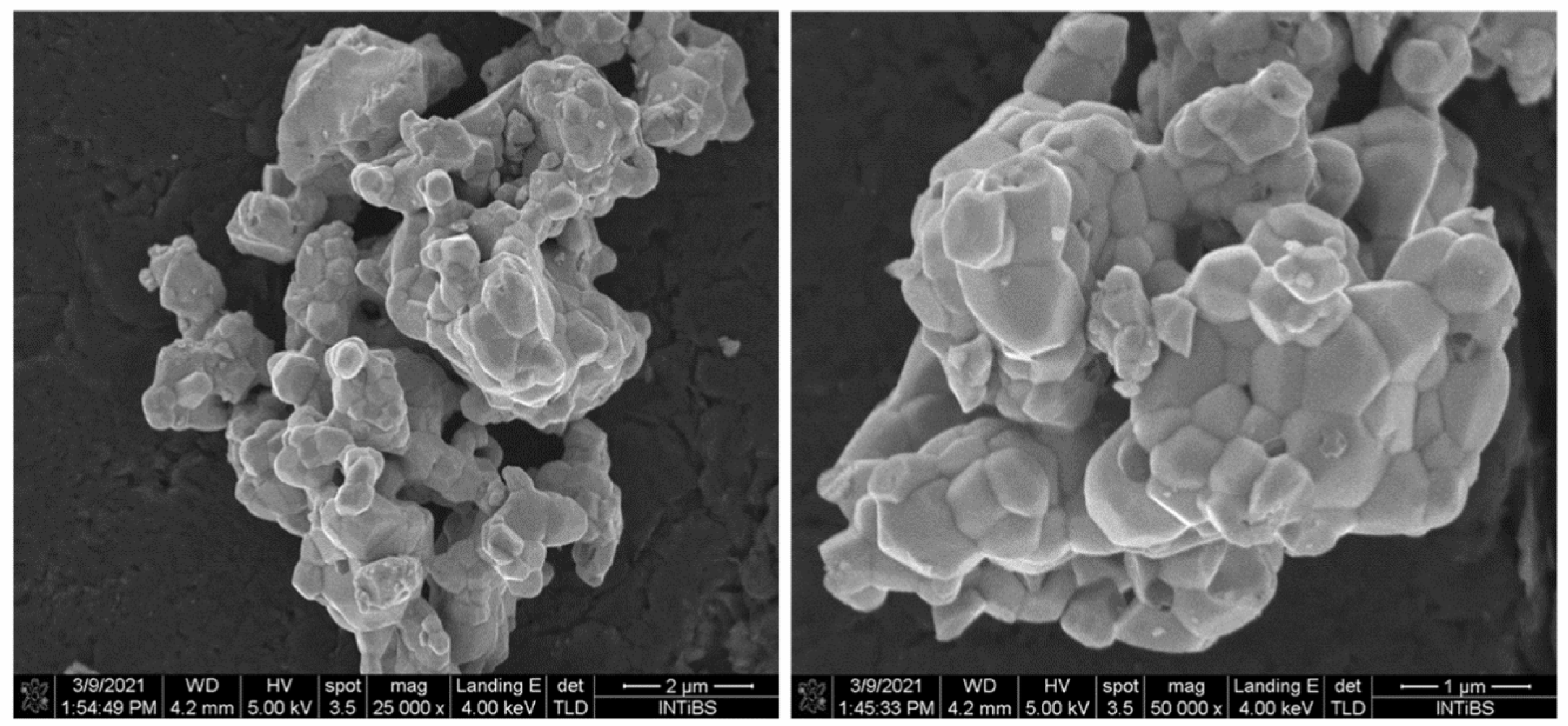 Materials 14 05557 g002