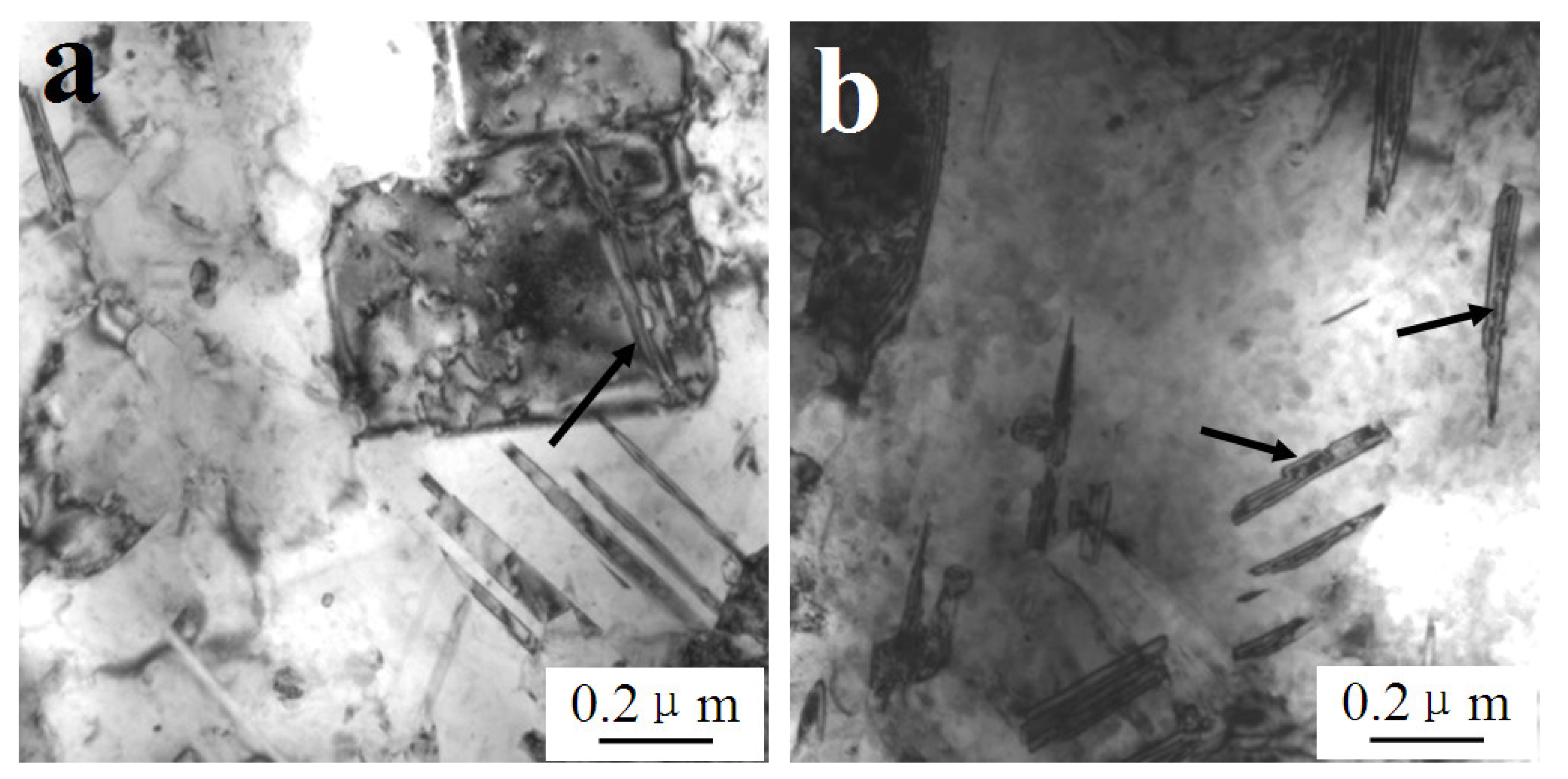 Materials 14 05563 g006