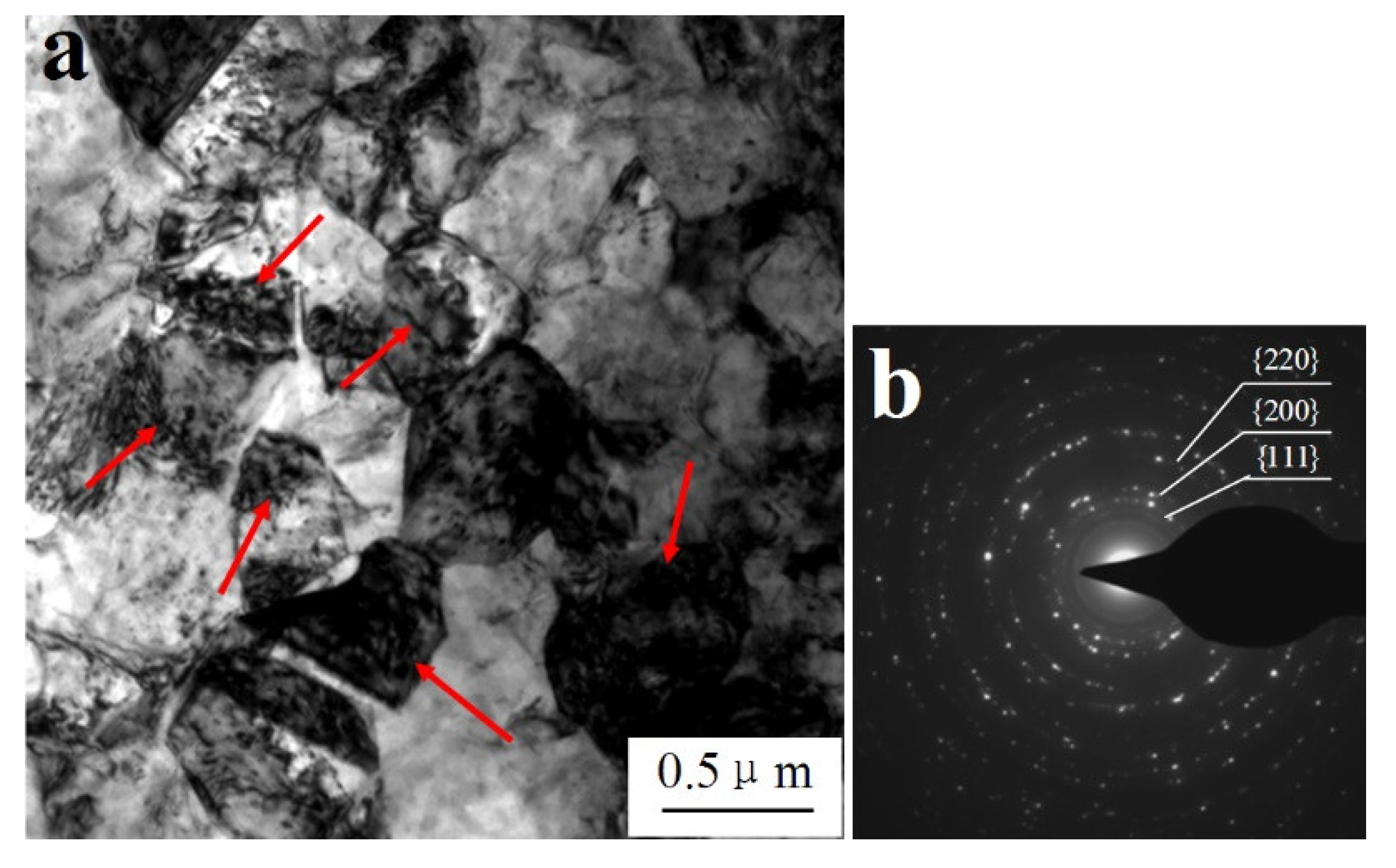 Materials 14 05563 g007