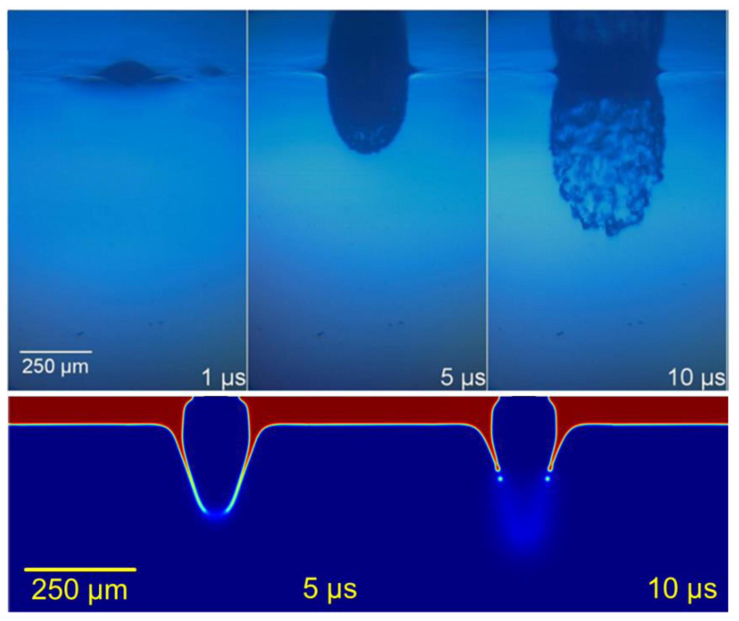Materials 14 05567 g005 550