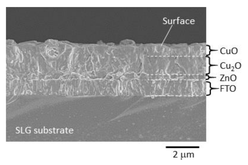 Materials 14 05570 g001 550
