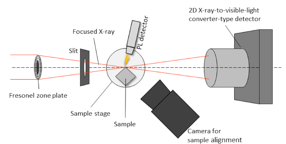 Materials 14 05570 g002 550