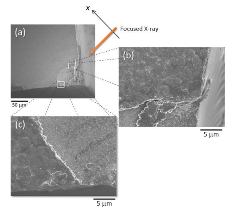 Materials 14 05570 g006 550