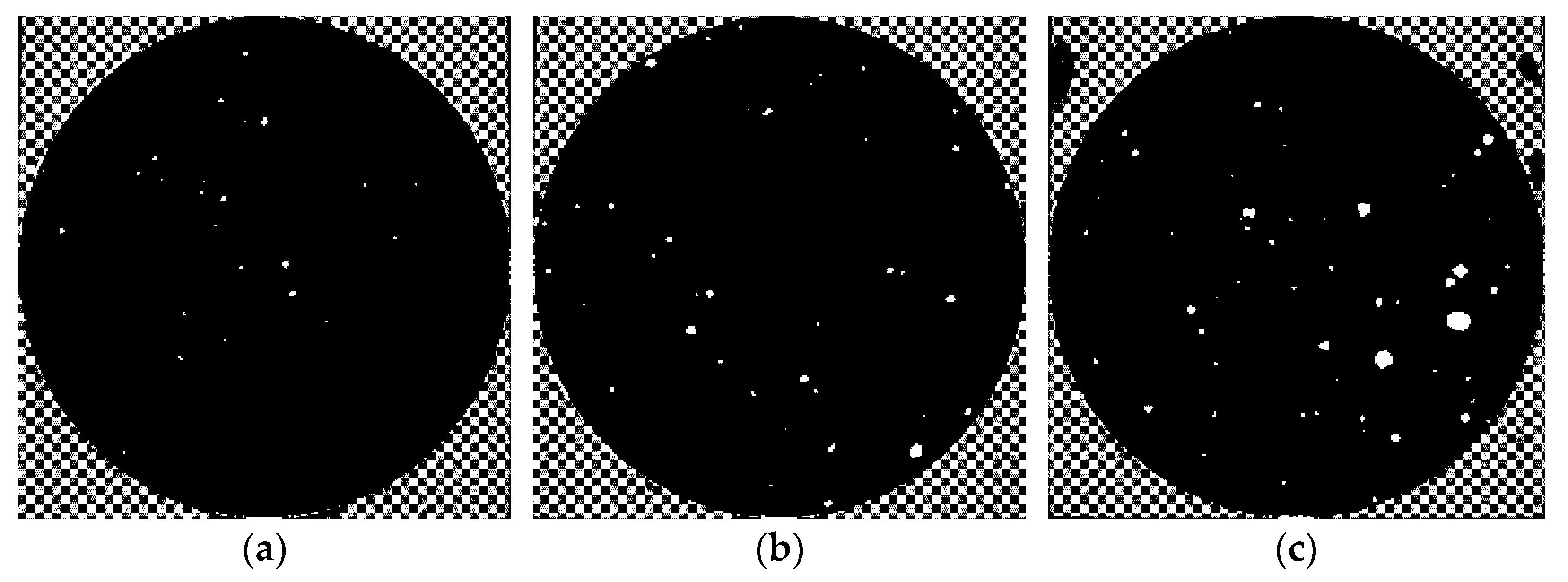 Materials 14 05572 g008