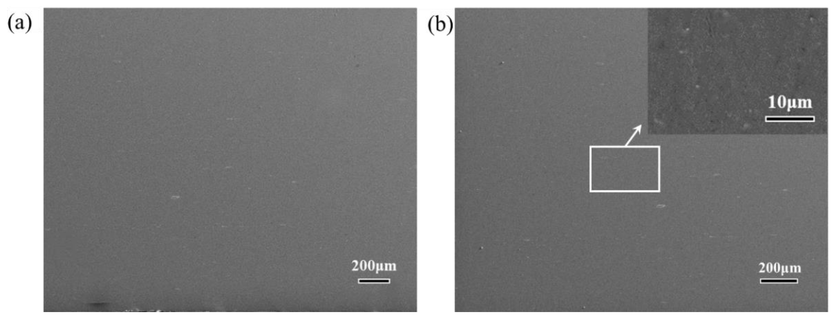 Materials 14 05576 g002 550