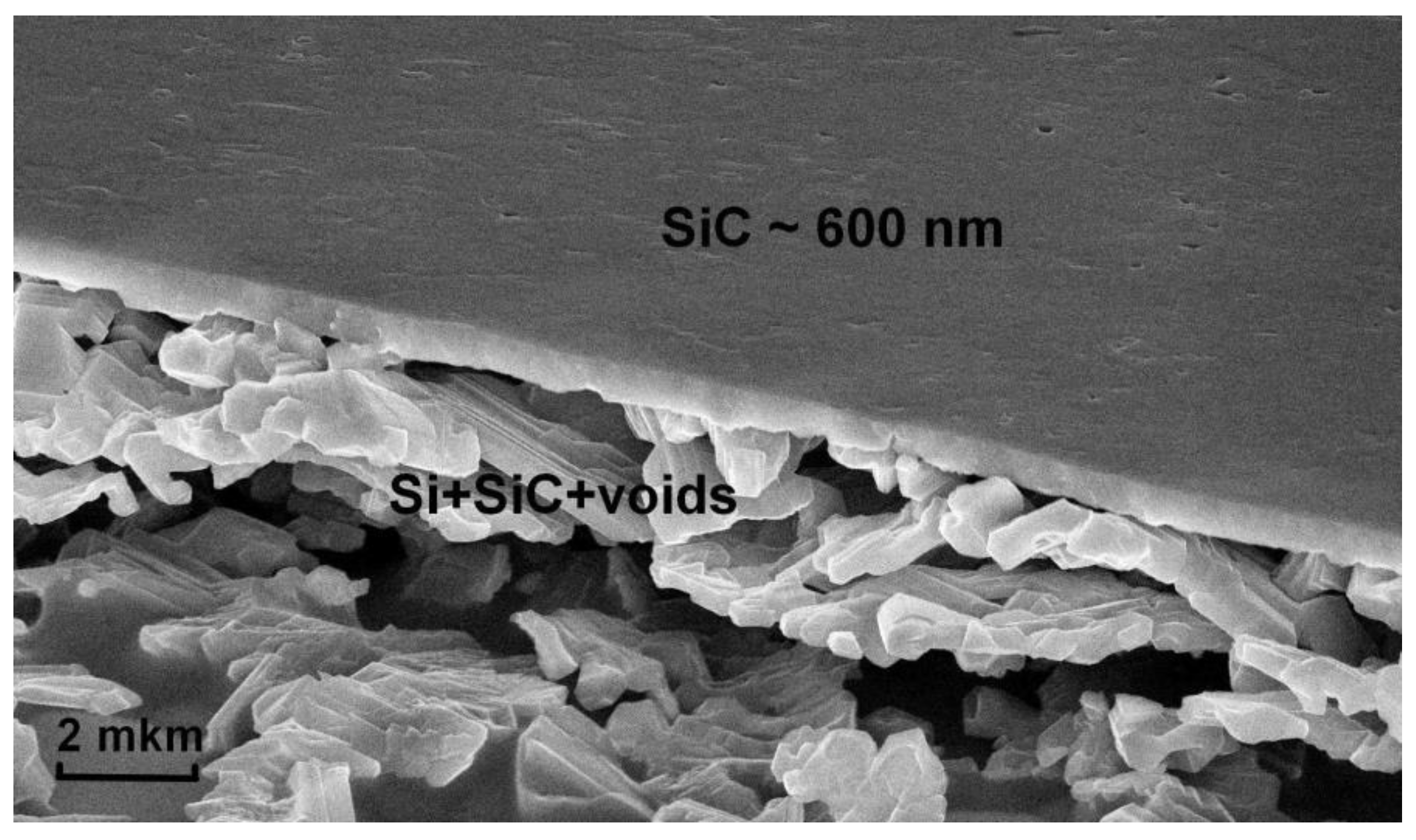 Materials 14 05579 g004 550