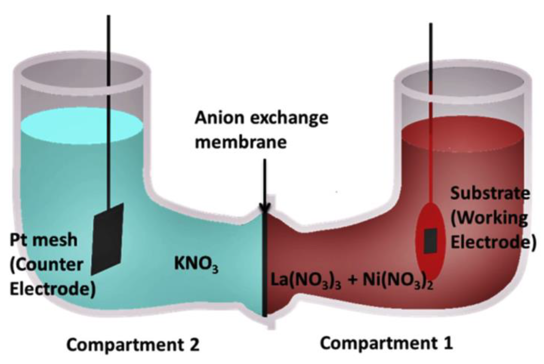 Materials 14 05584 g003