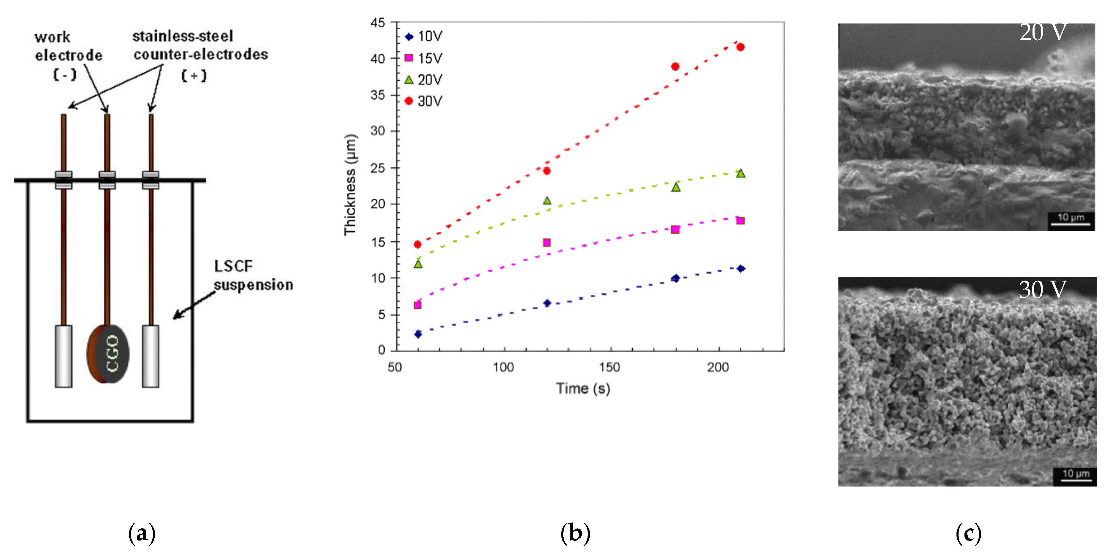 Materials 14 05584 g006