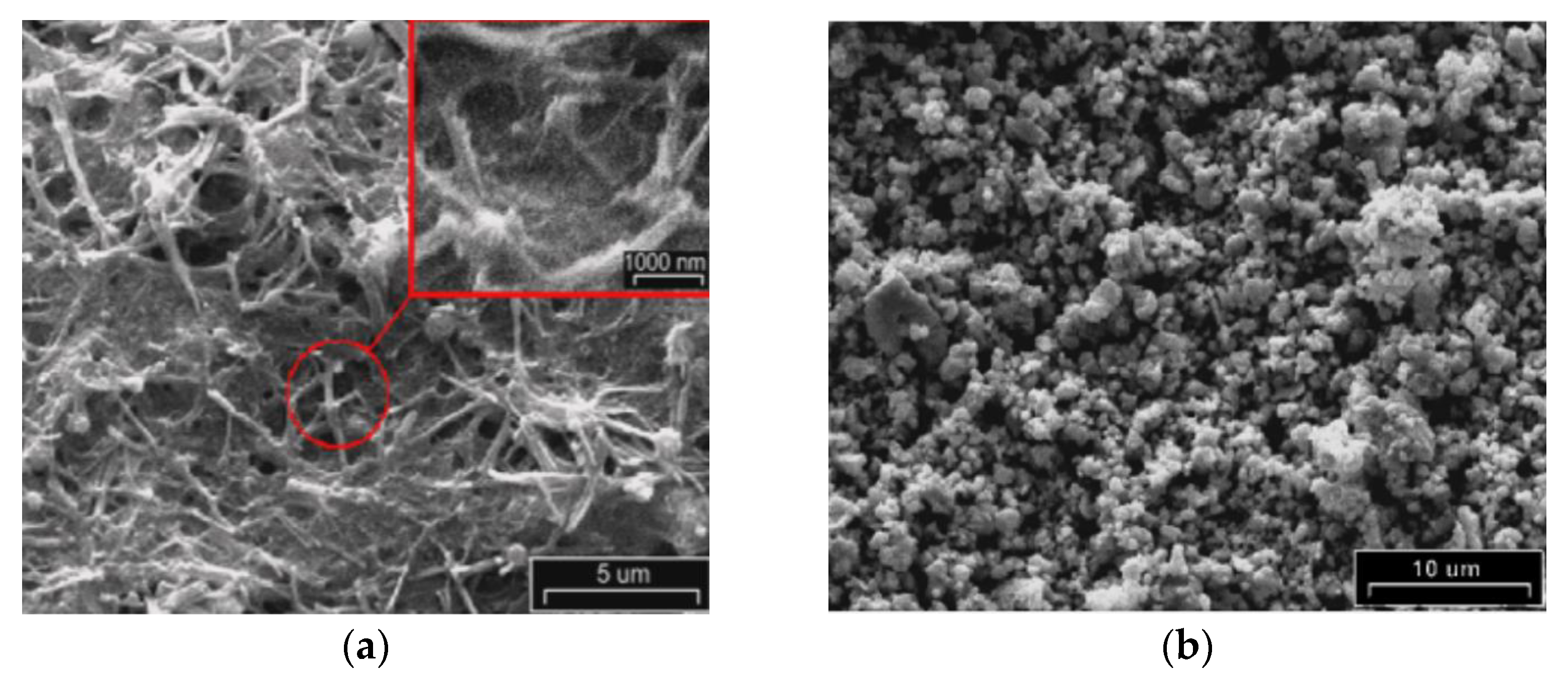 Materials 14 05584 g007