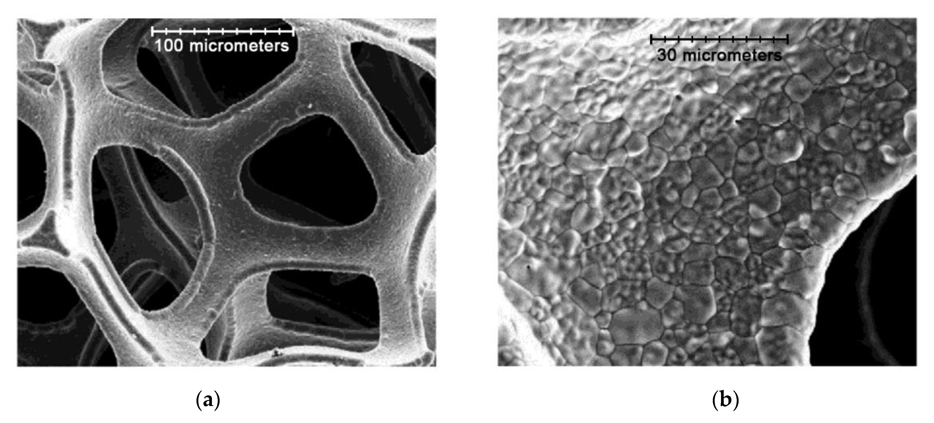 Materials 14 05584 g010