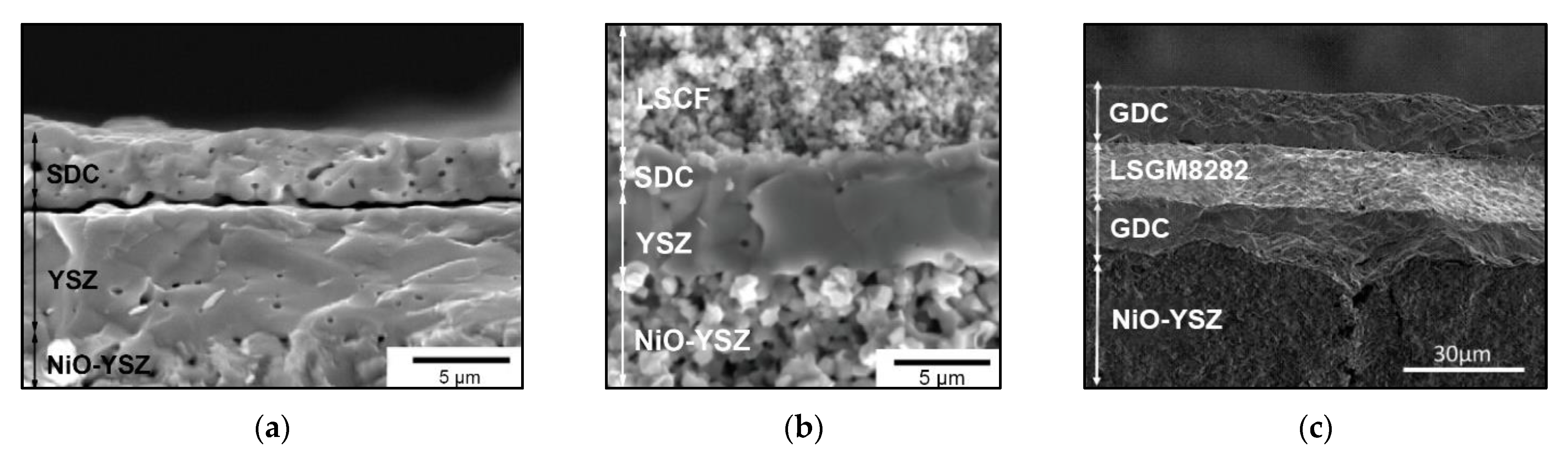 Materials 14 05584 g017