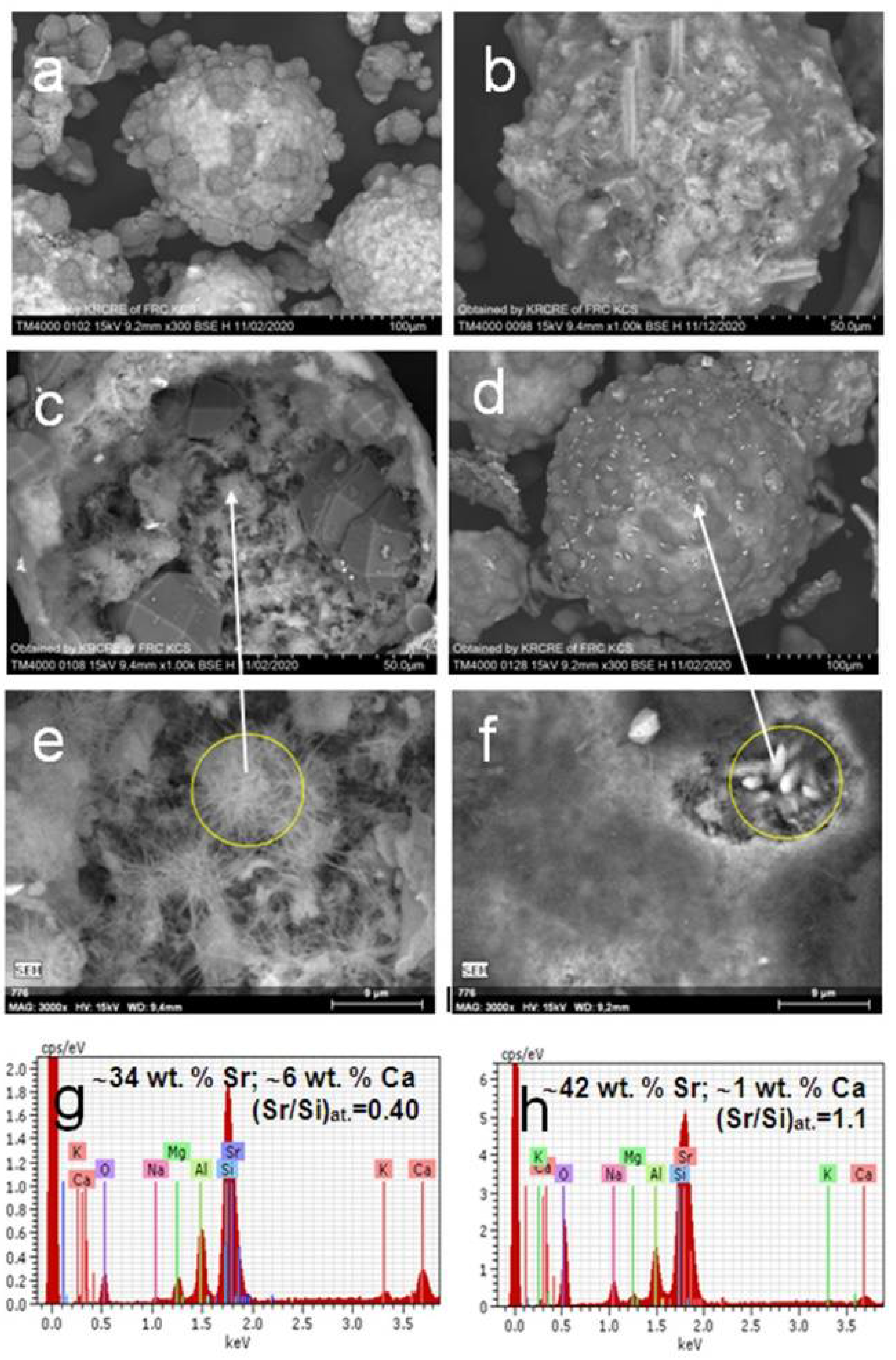 Materials 14 05586 g004