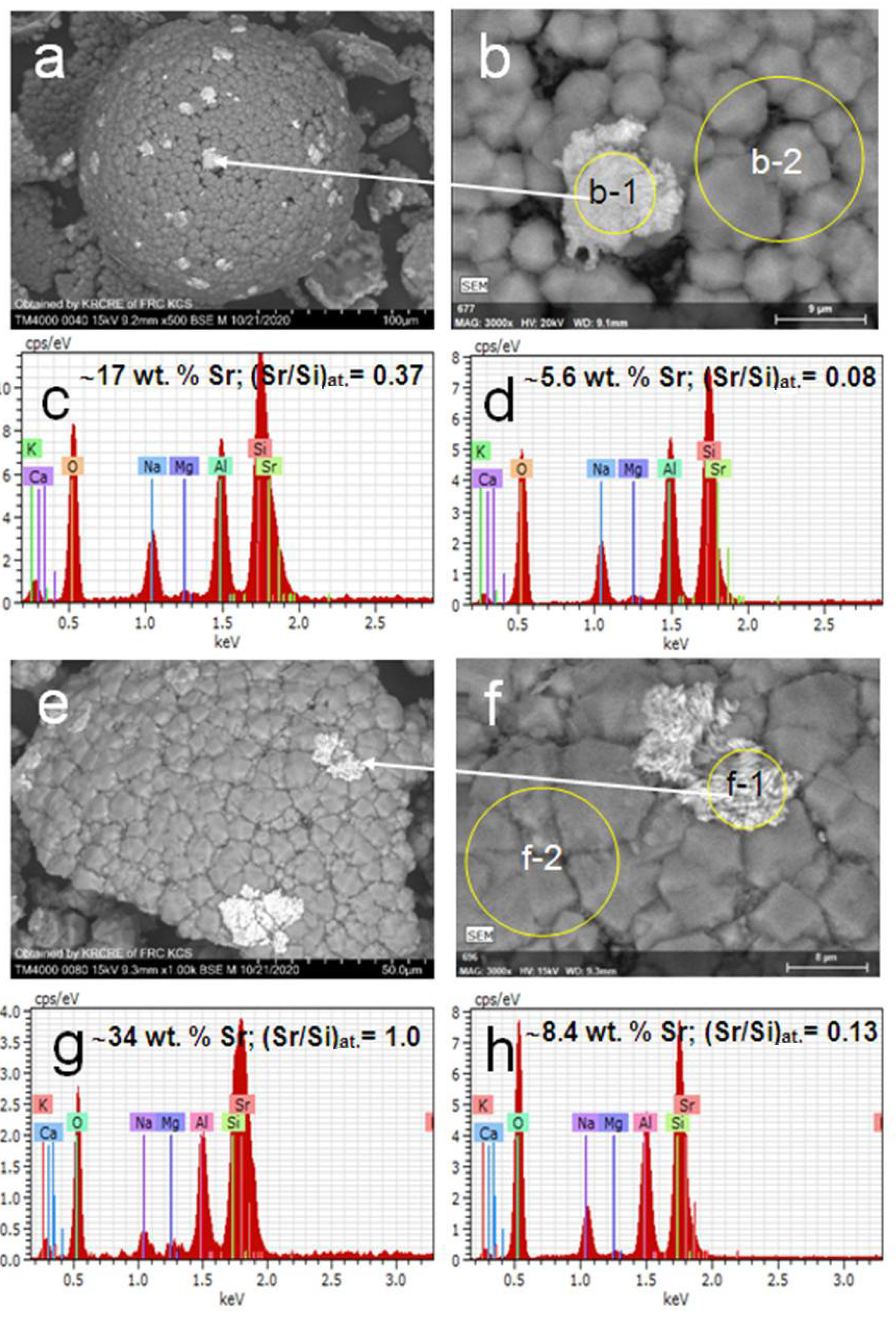 Materials 14 05586 g005