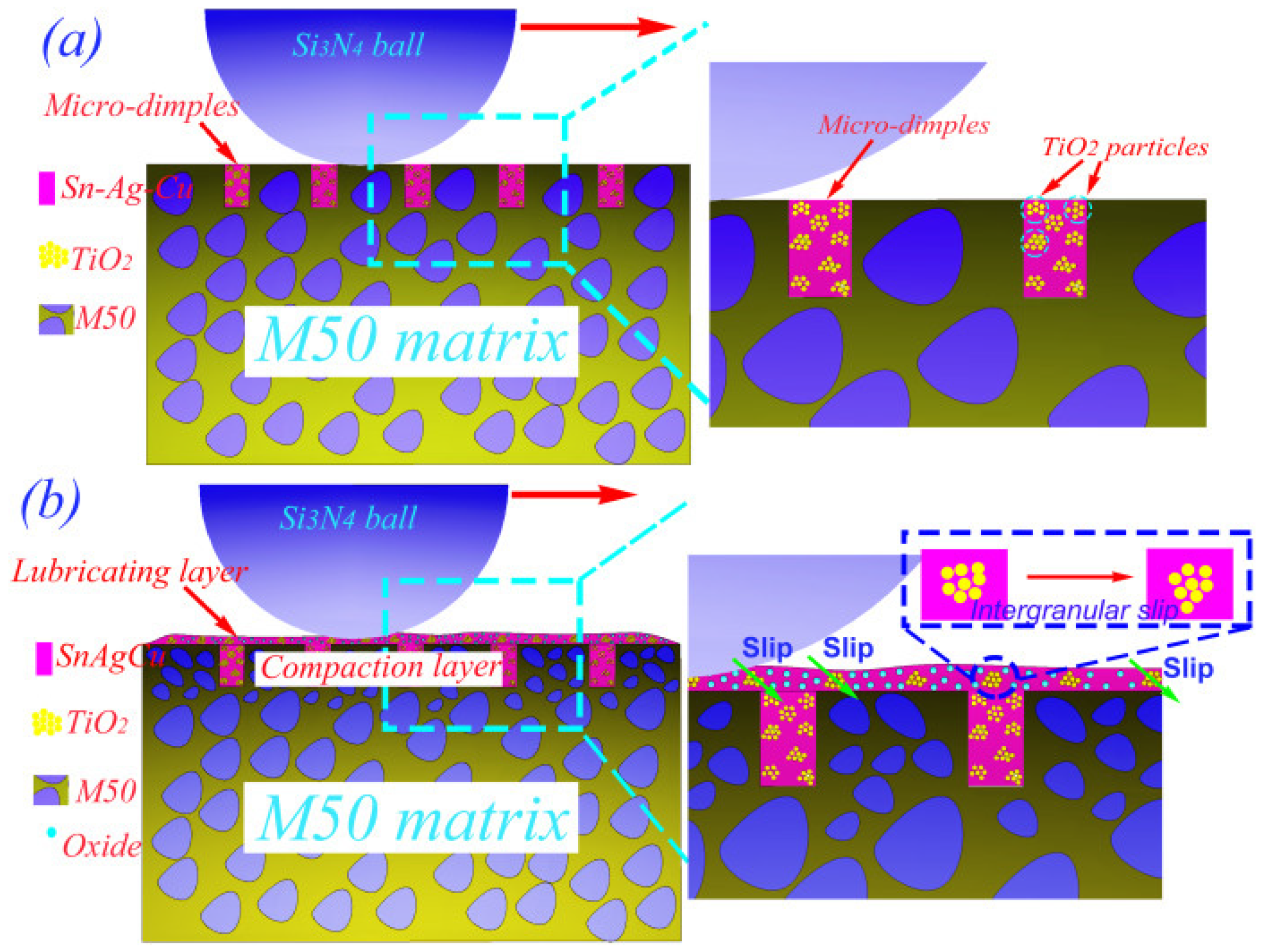 Materials 14 05588 g005