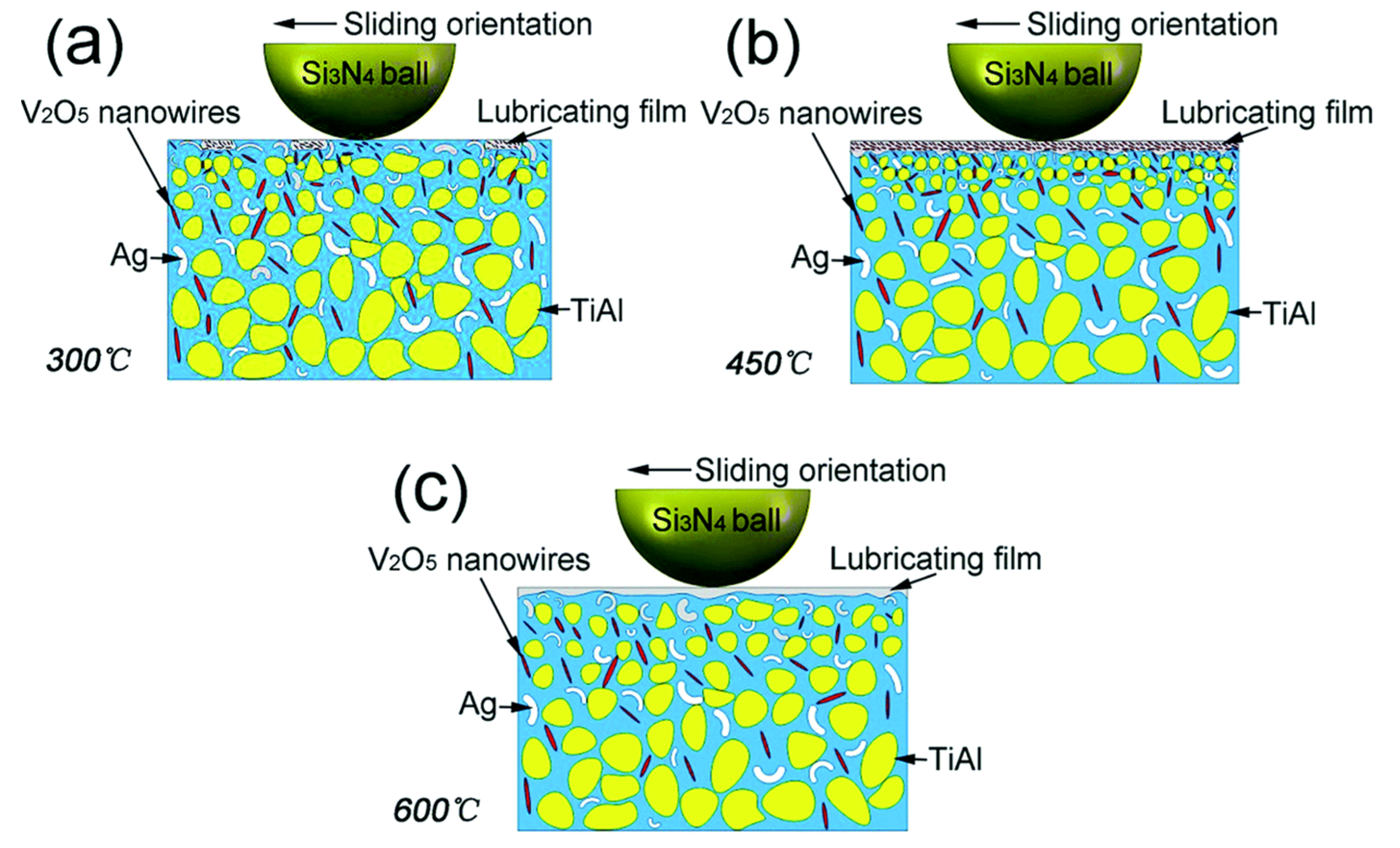 Materials 14 05588 g006