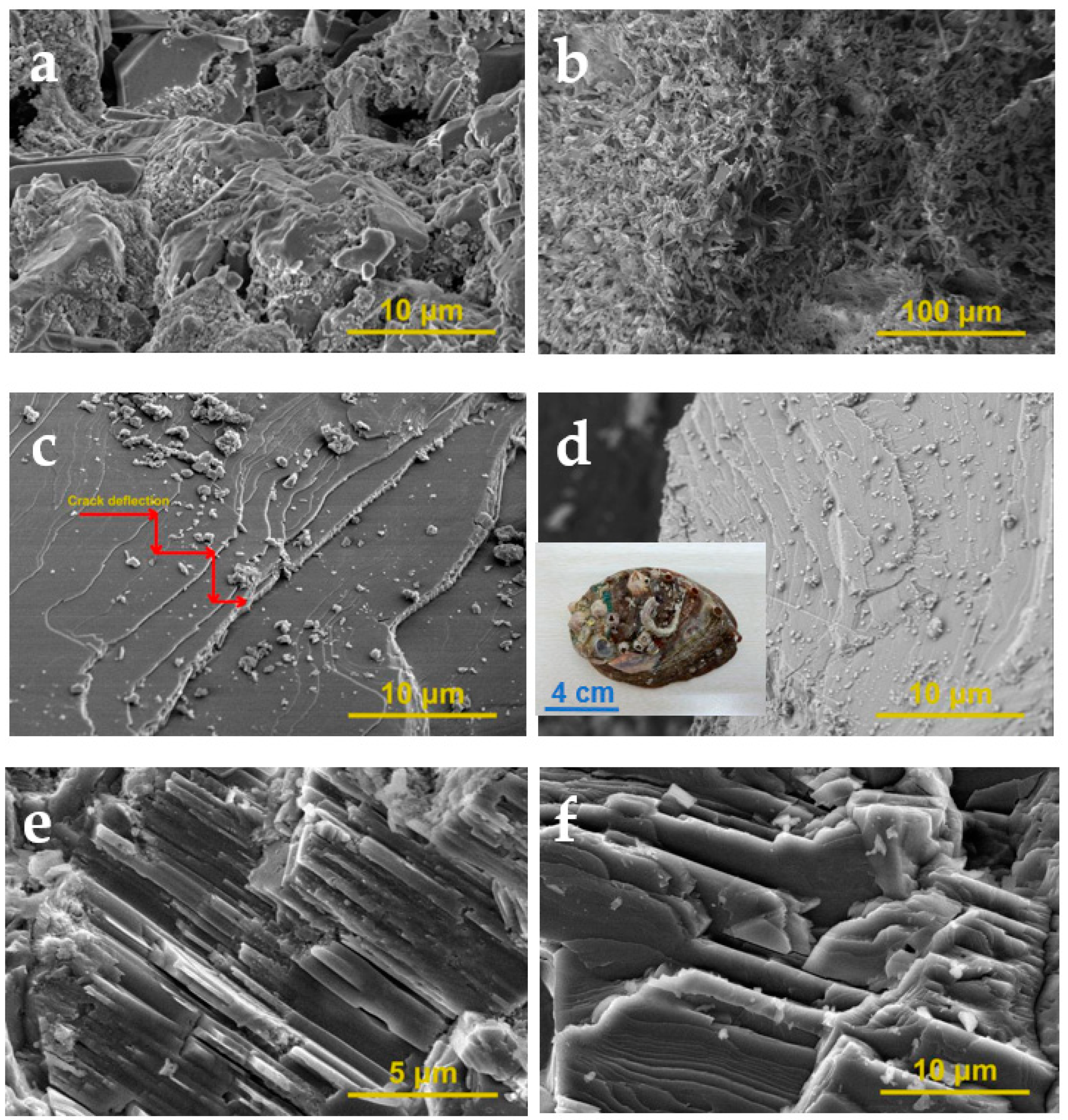 Materials 14 05601 g003