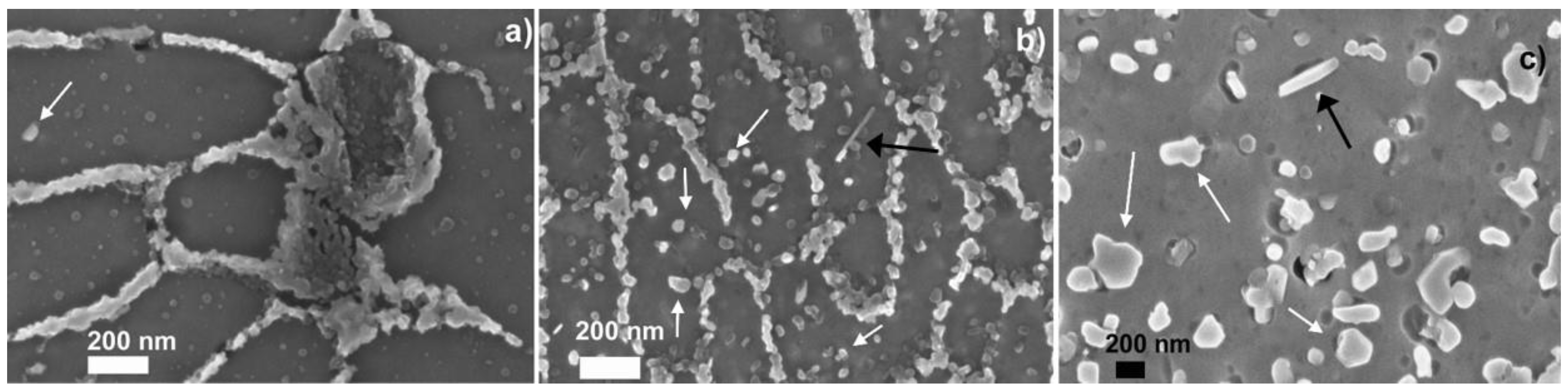 Materials 14 05602 g002