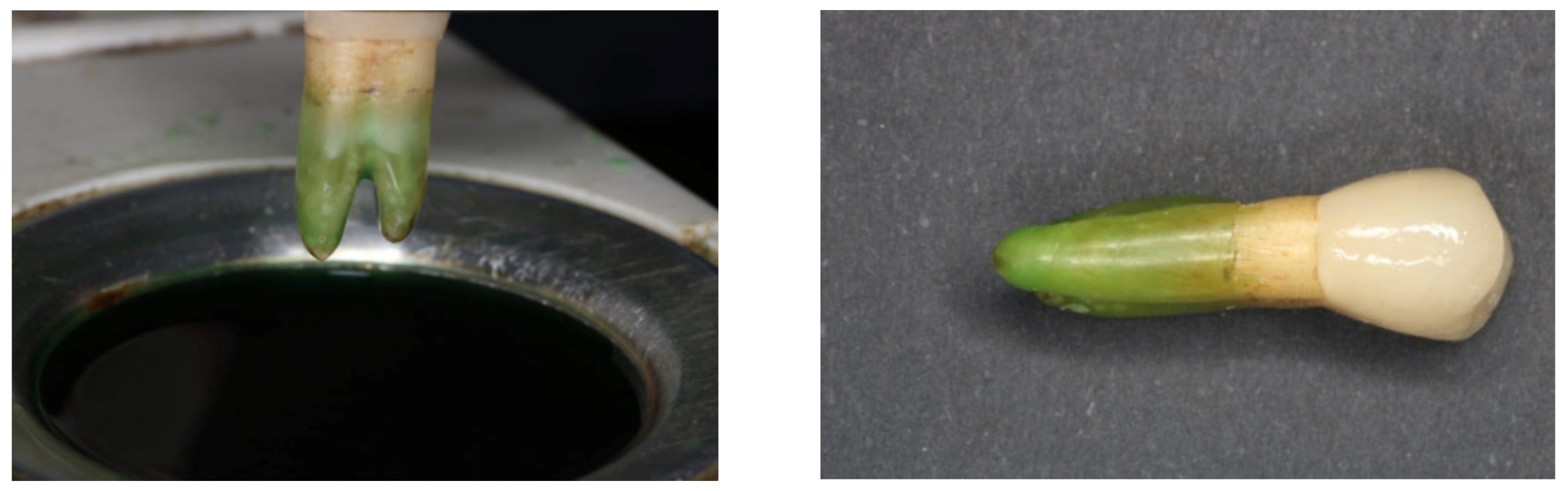 Materials 14 05603 g001