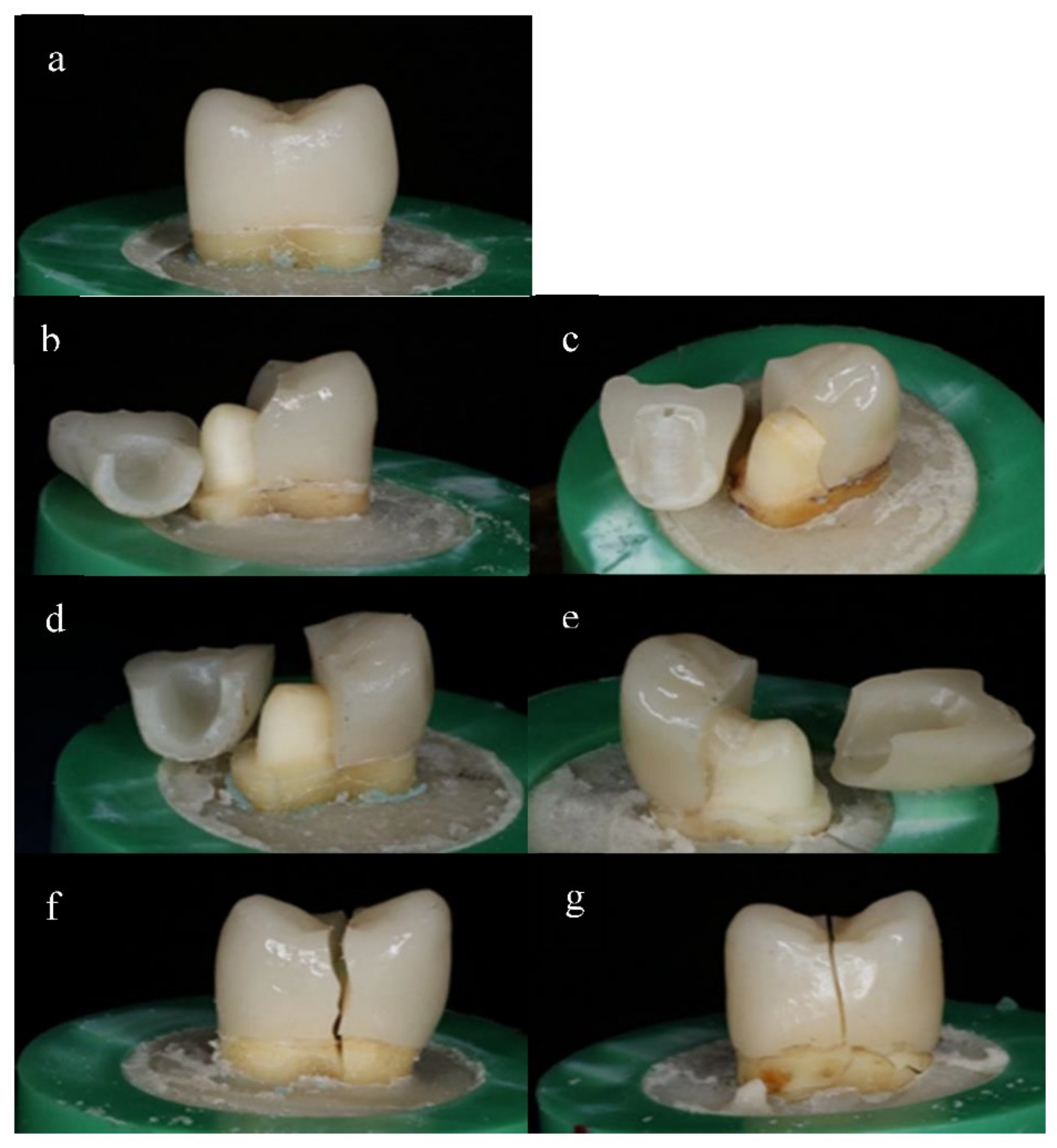Materials 14 05603 g004
