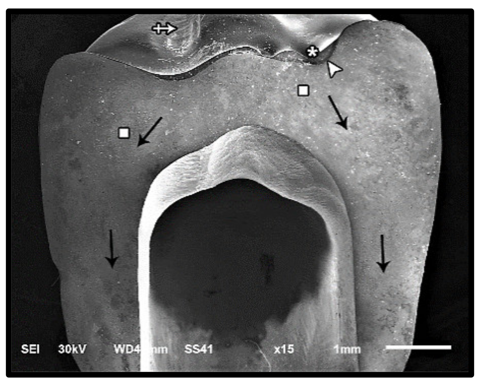 Materials 14 05603 g005