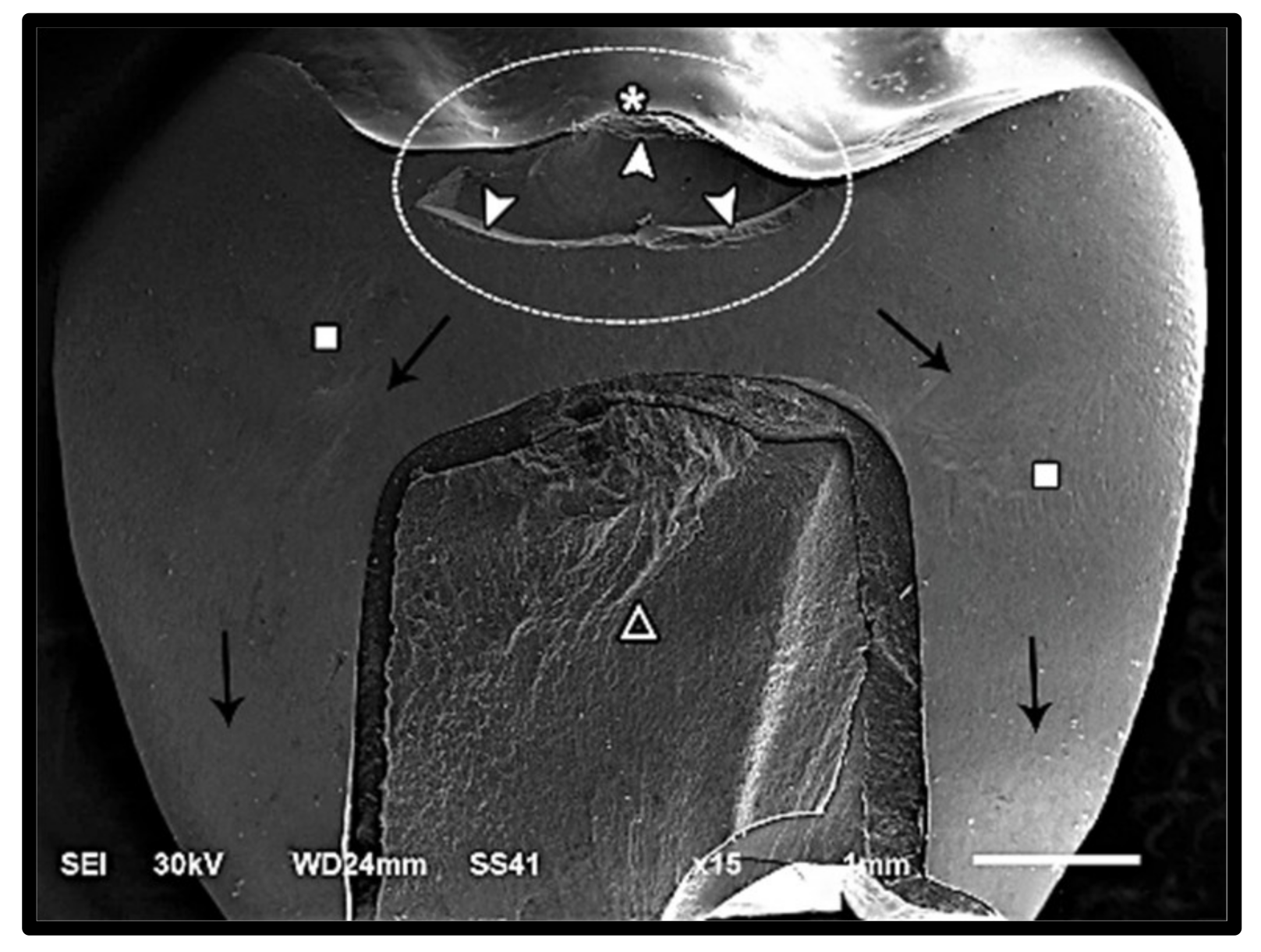 Materials 14 05603 g006