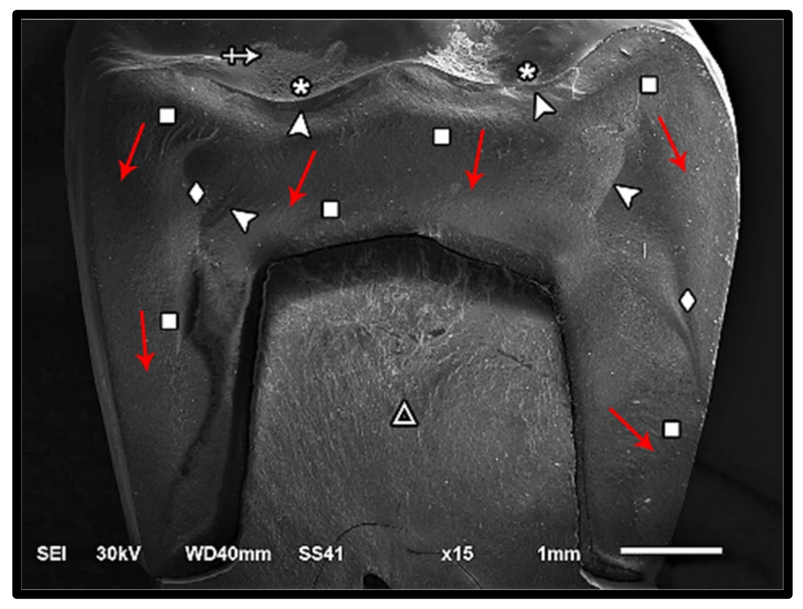 Materials 14 05603 g007