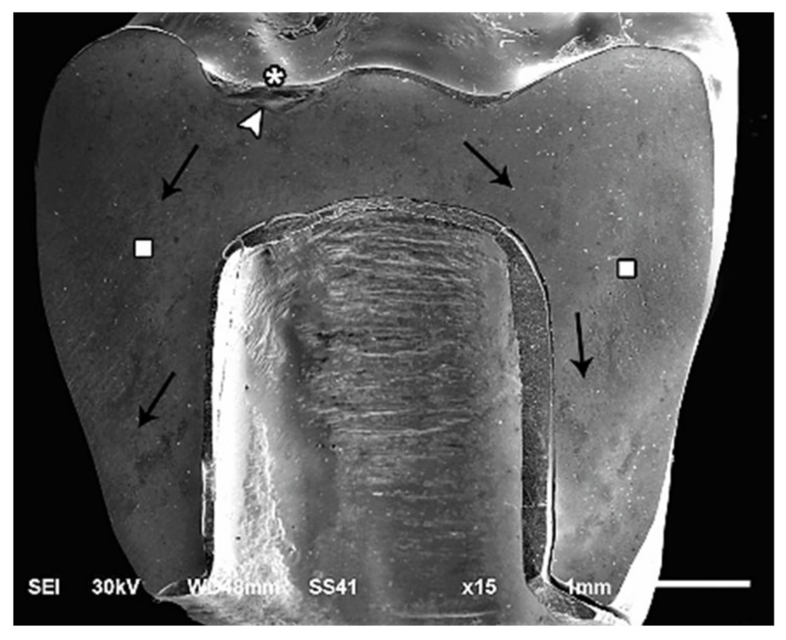 Materials 14 05603 g008