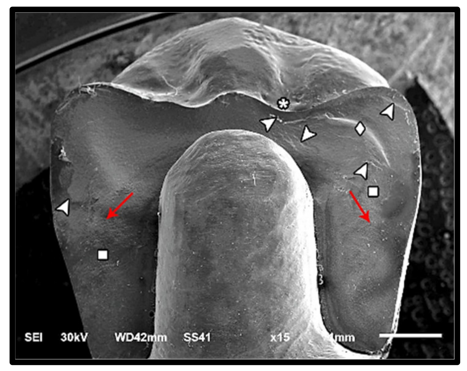 Materials 14 05603 g009