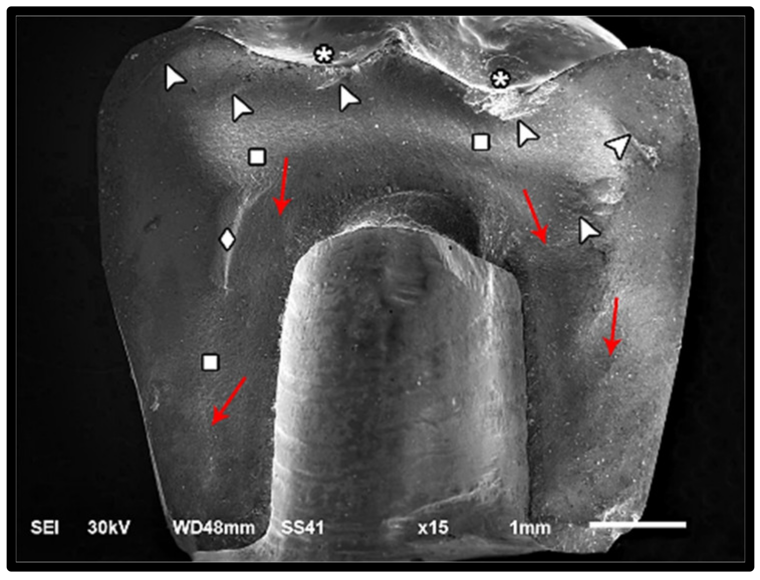 Materials 14 05603 g010