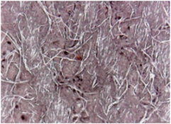 Materials 14 05609 i002