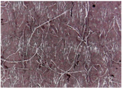 Materials 14 05609 i006