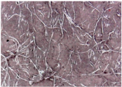 Materials 14 05609 i012